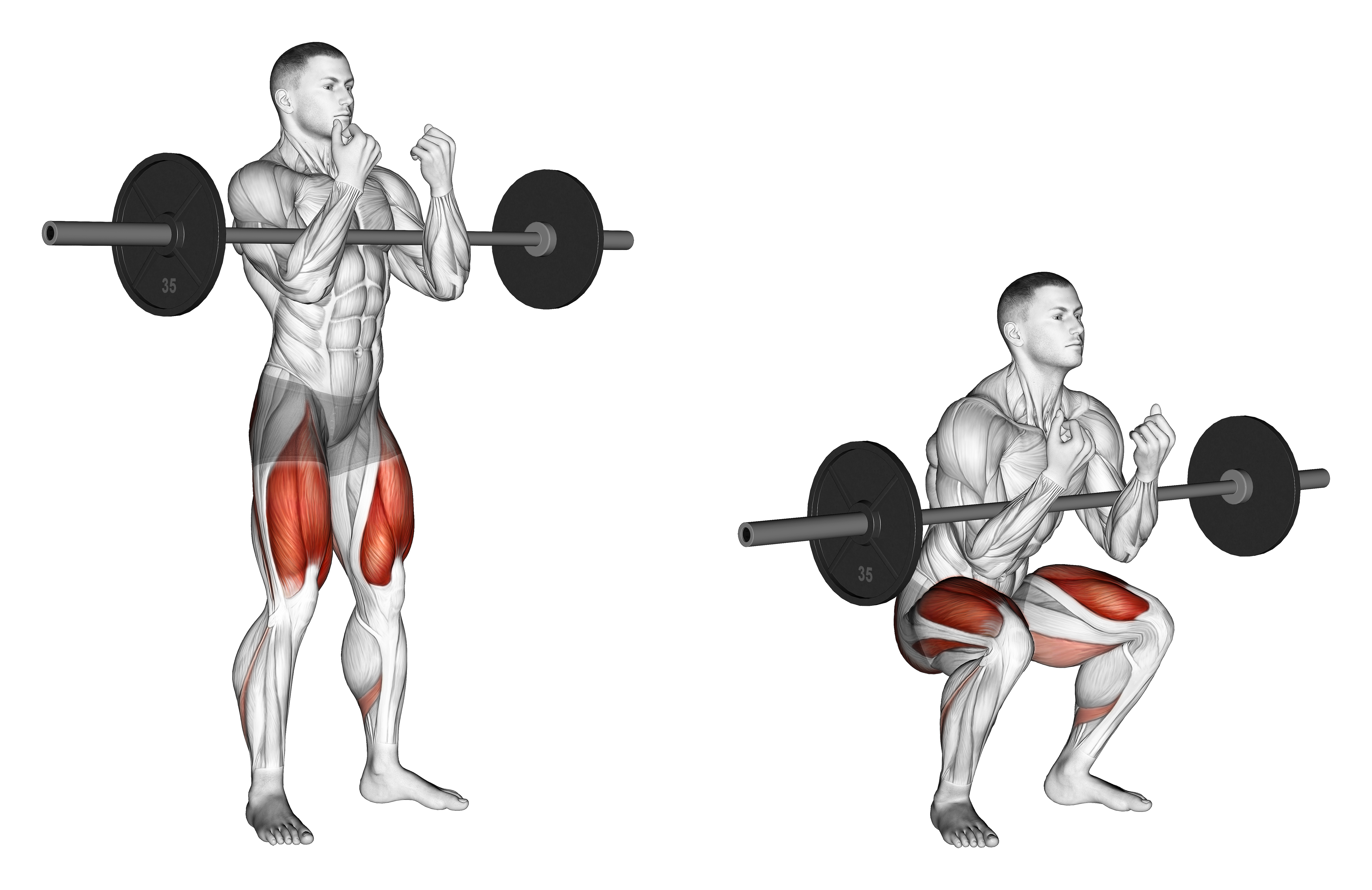 Barbell Full Zercher Squat