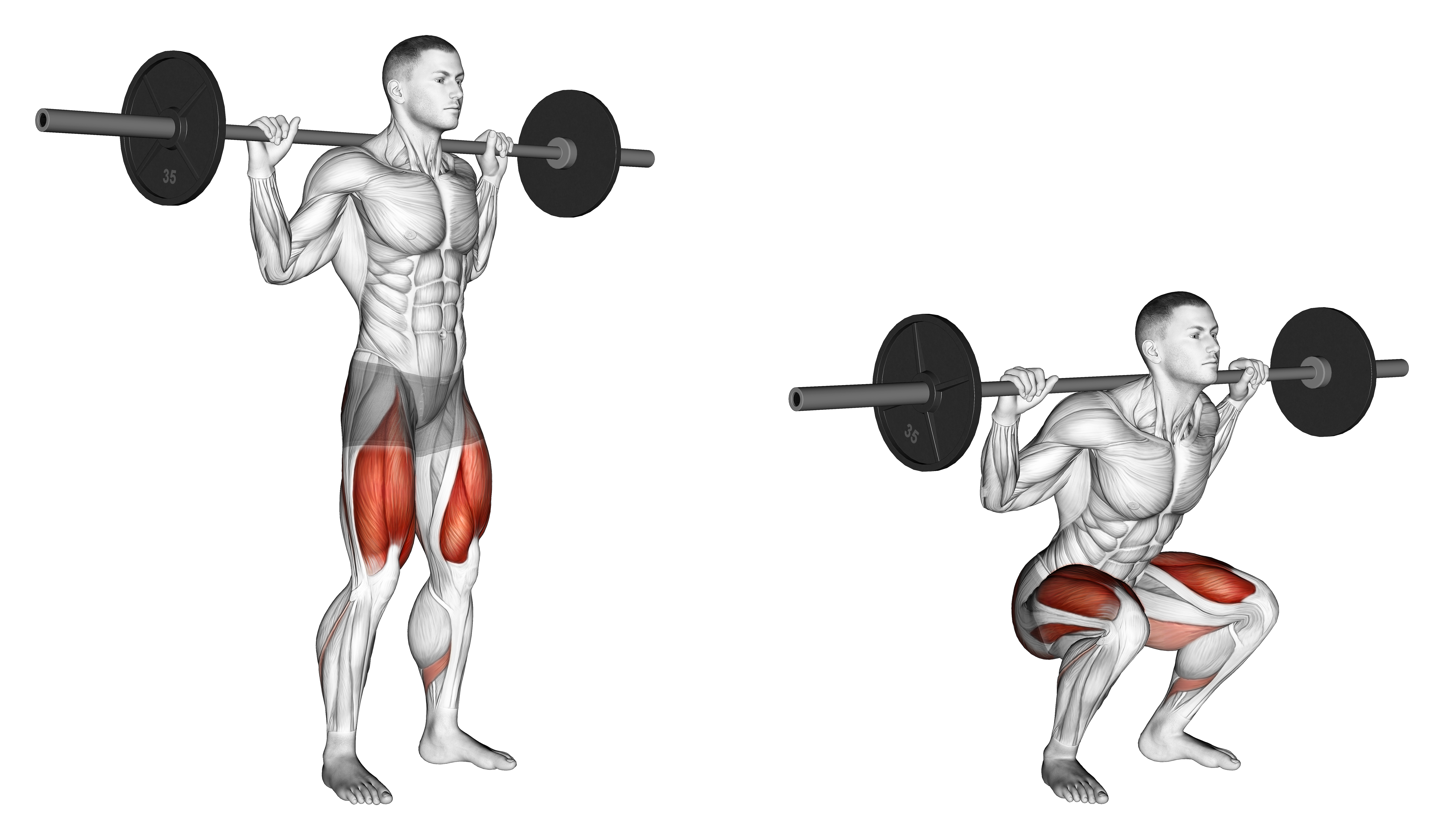 Barbell High Bar Squat