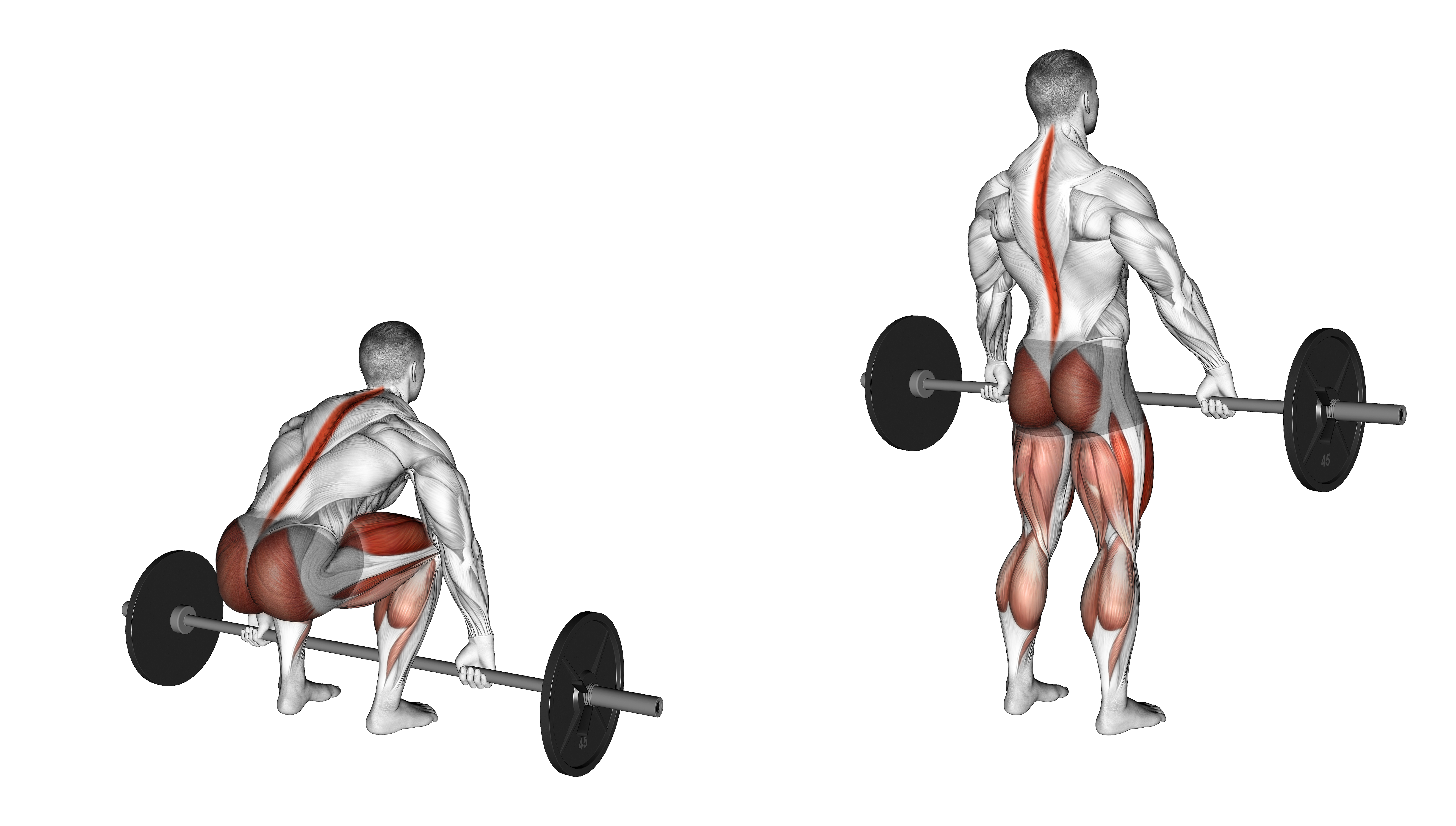 Barbell Hook Grip Deadlift