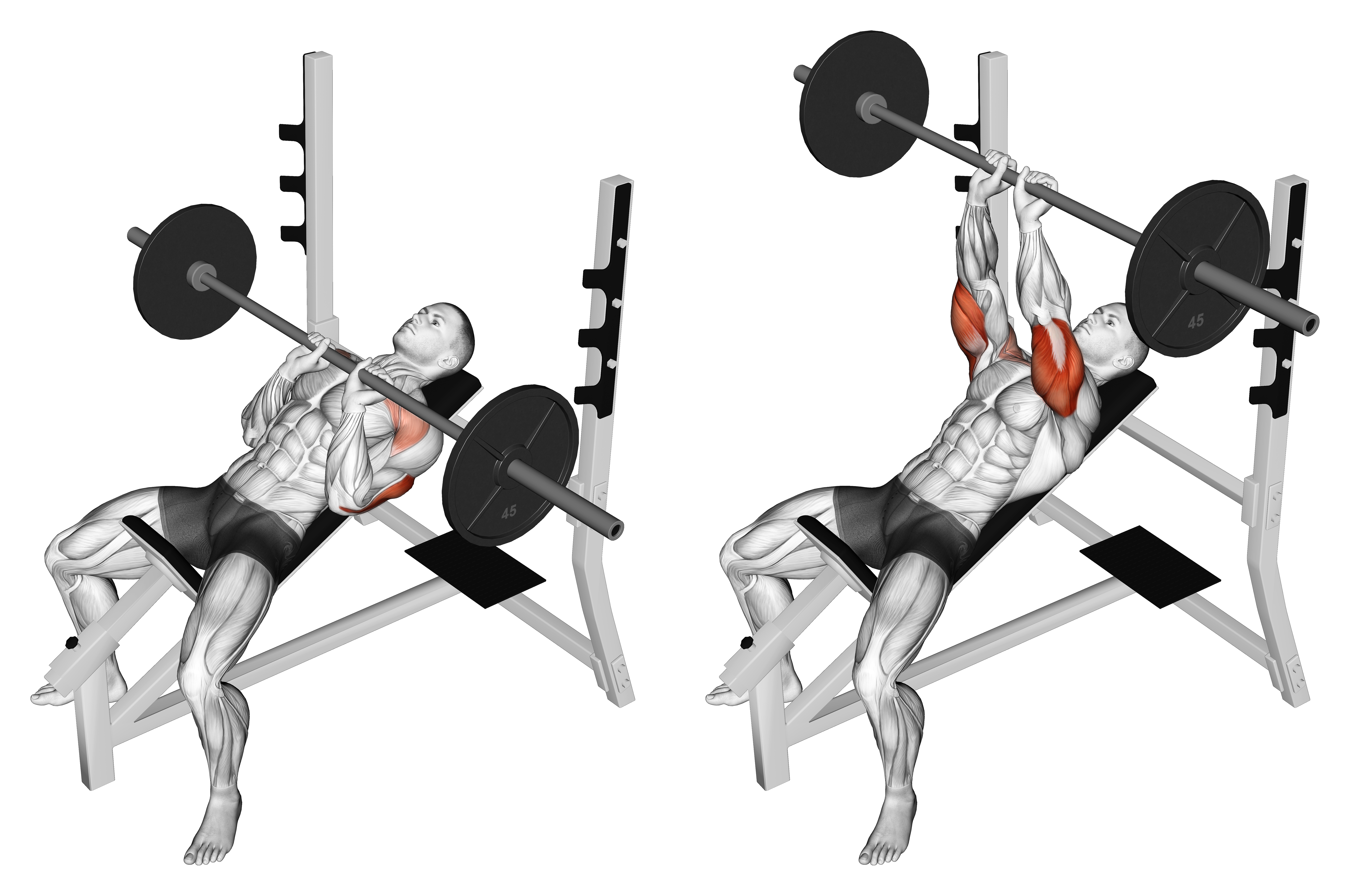 Barbell Incline Close Grip Bench Press