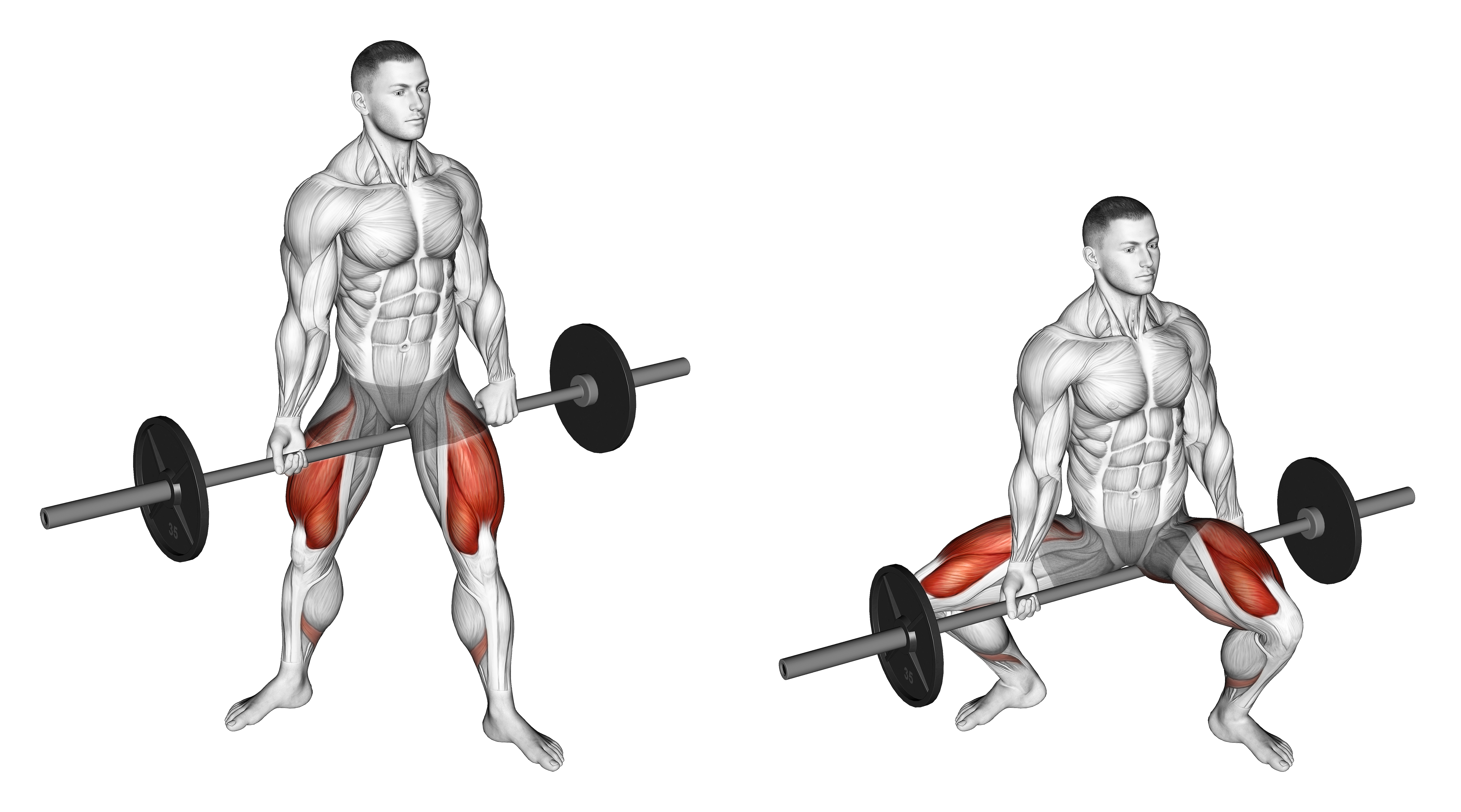 Barbell Jefferson Squat