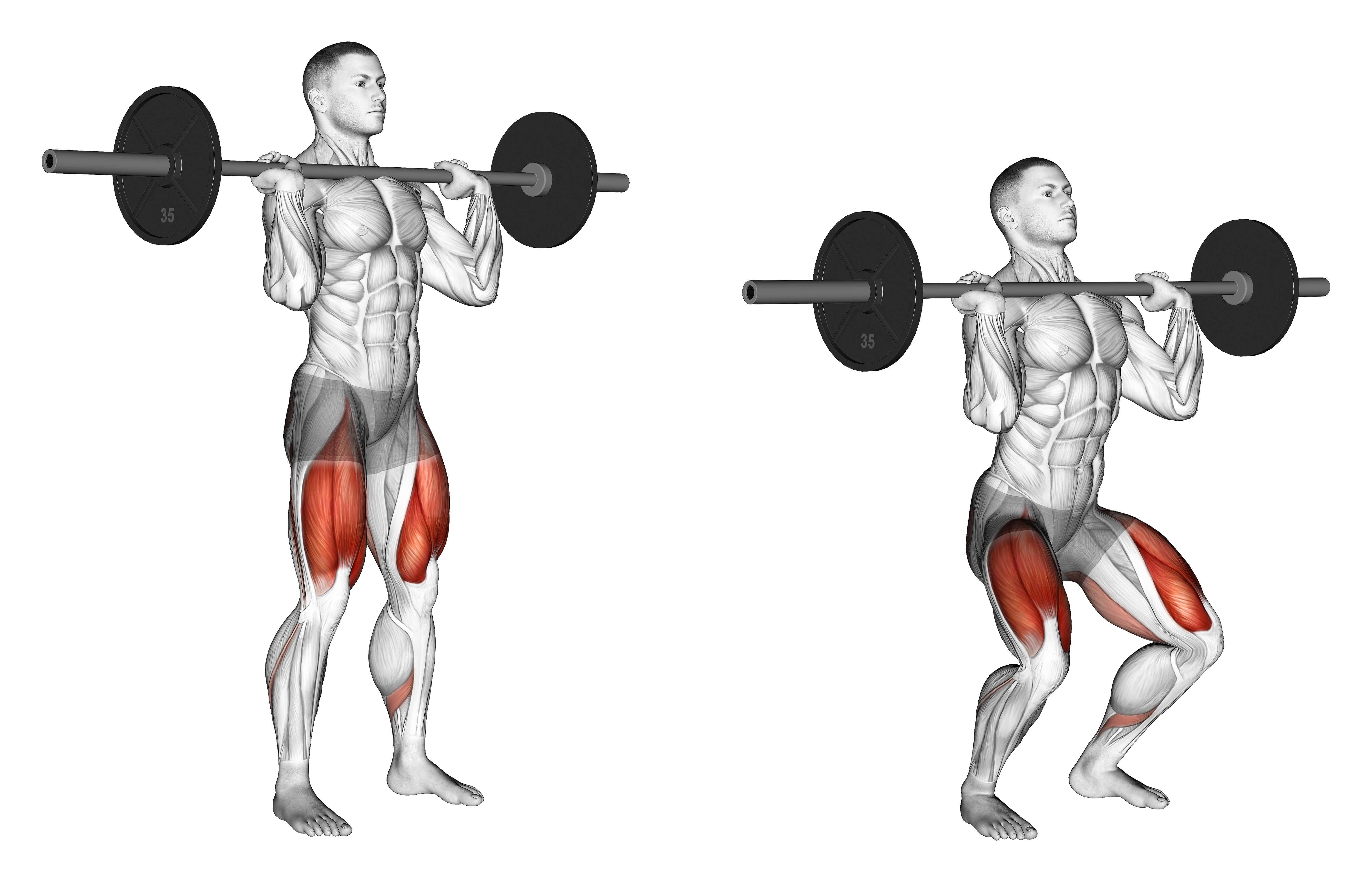 Barbell Jerk Dip Squat