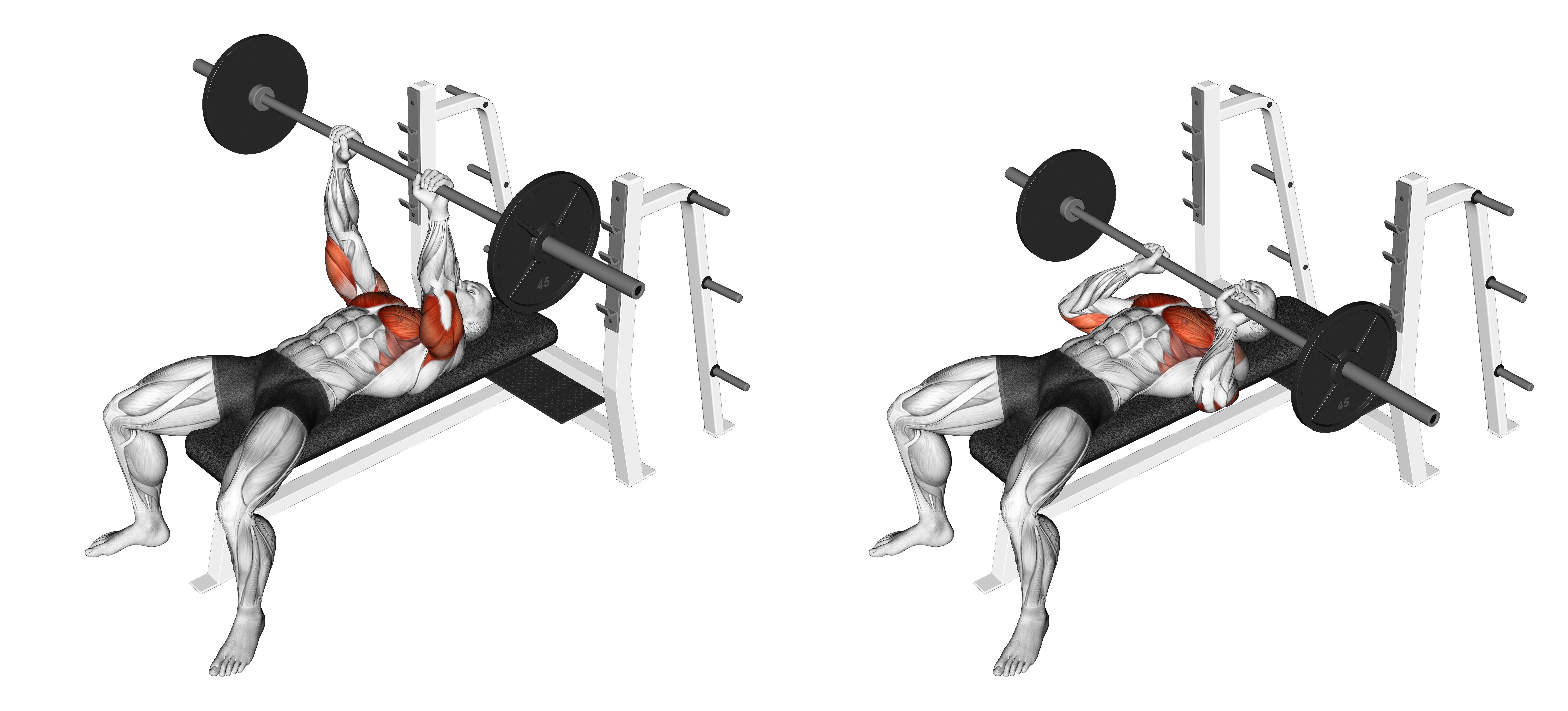 Barbell Jm Bench Press