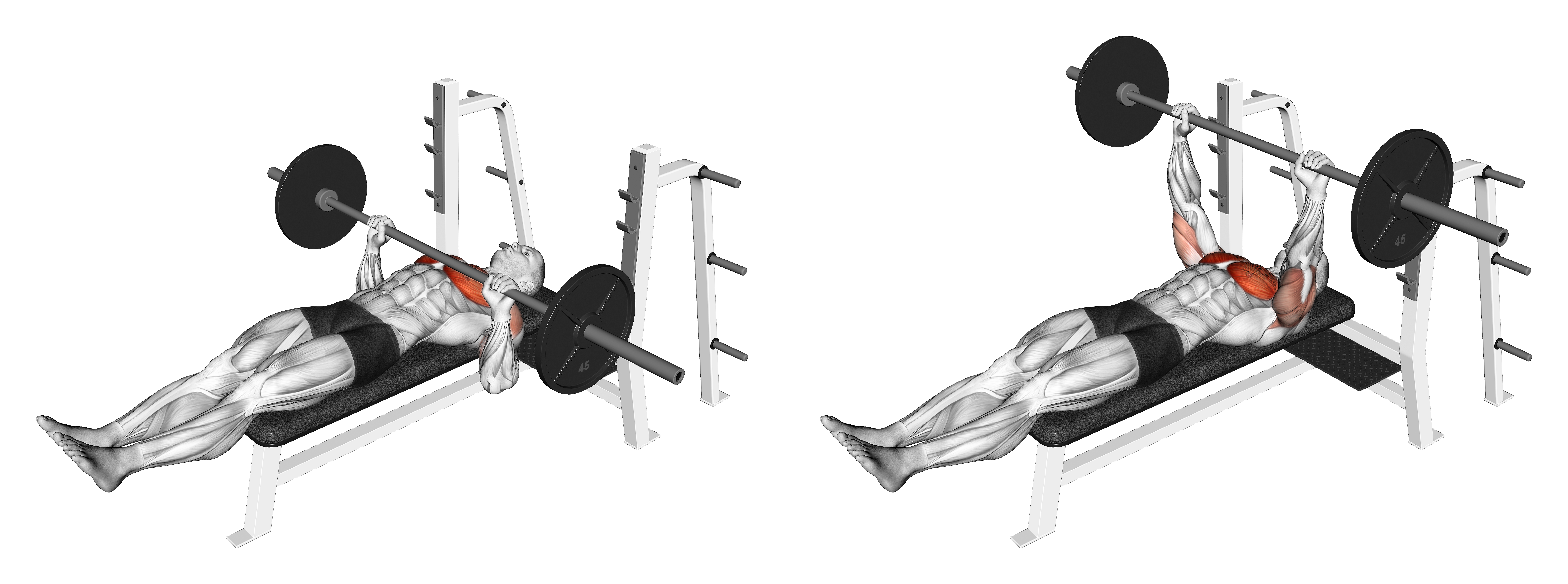 Barbell Larsen Press
