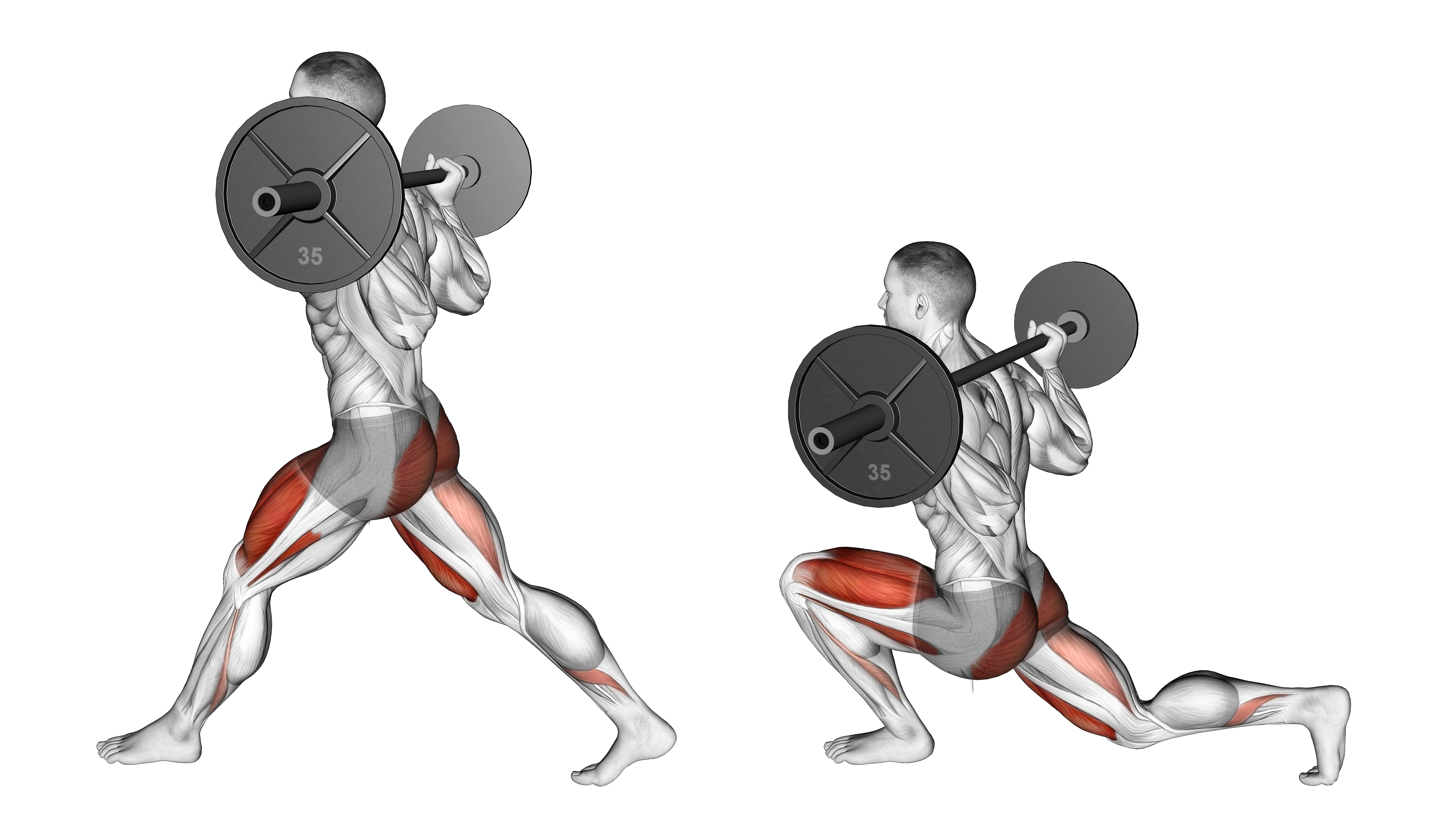 Barbell Low Split Squat