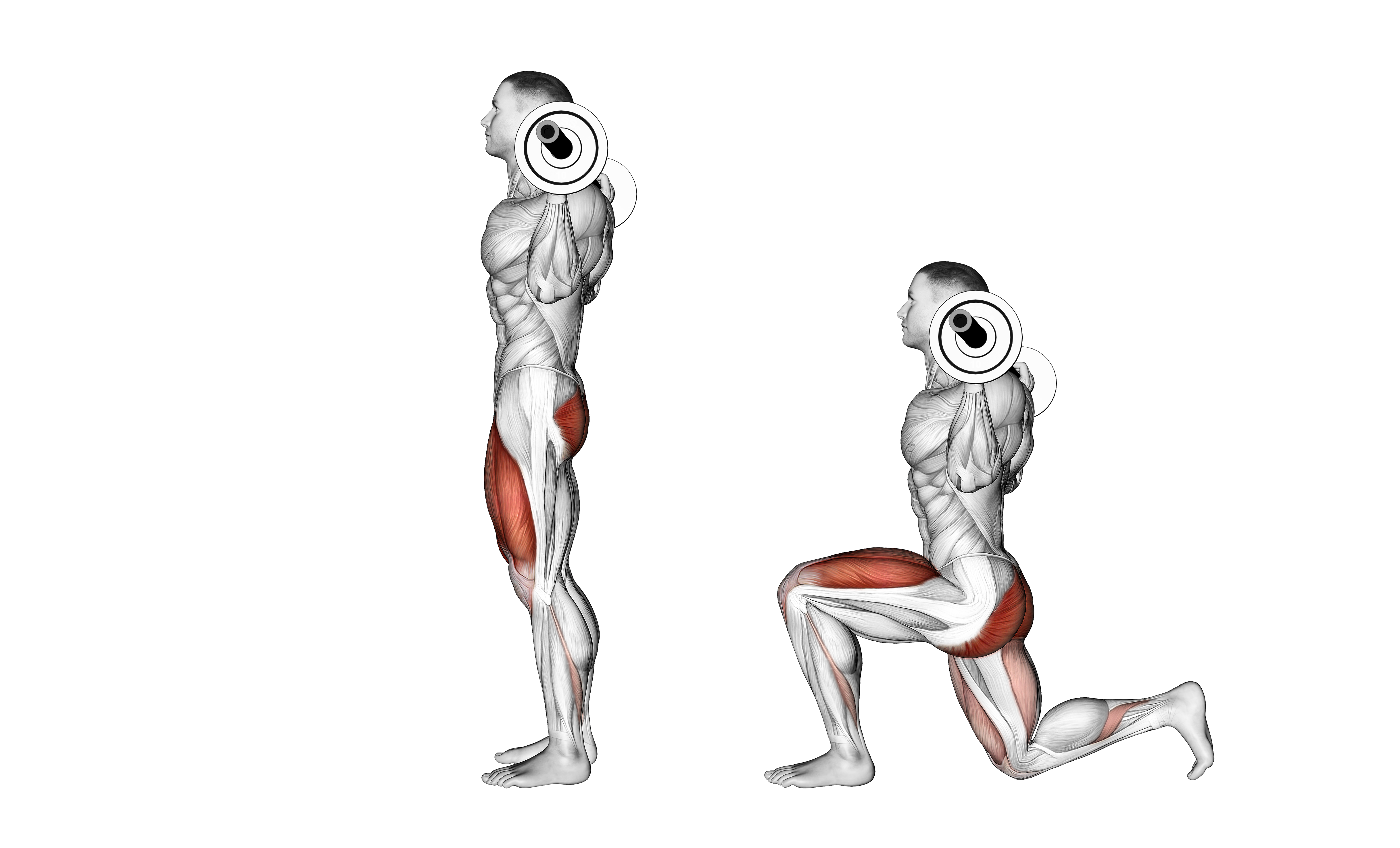Barbell Lunge