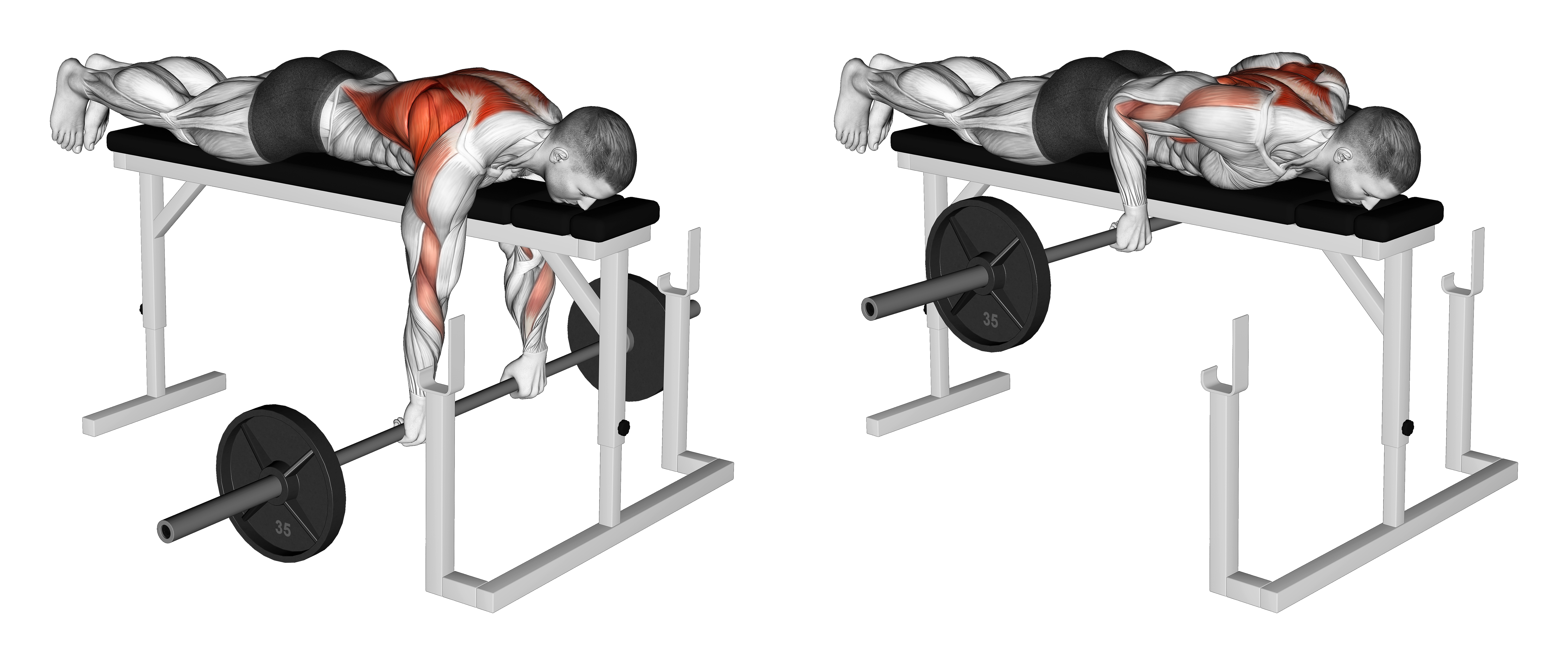 Barbell Lying Close Grip Overhand Row On Rack