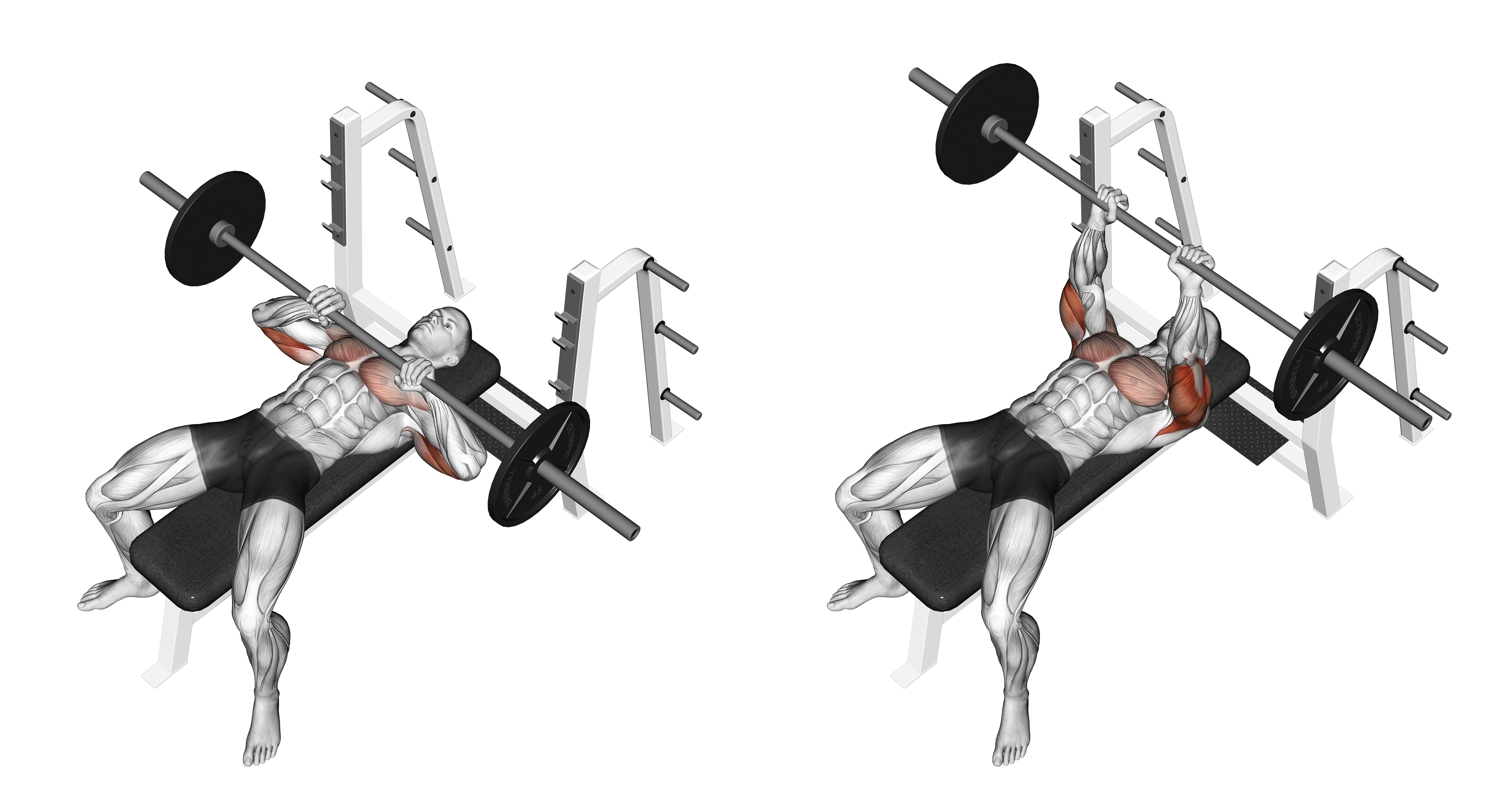 Barbell Lying Close Grip Press