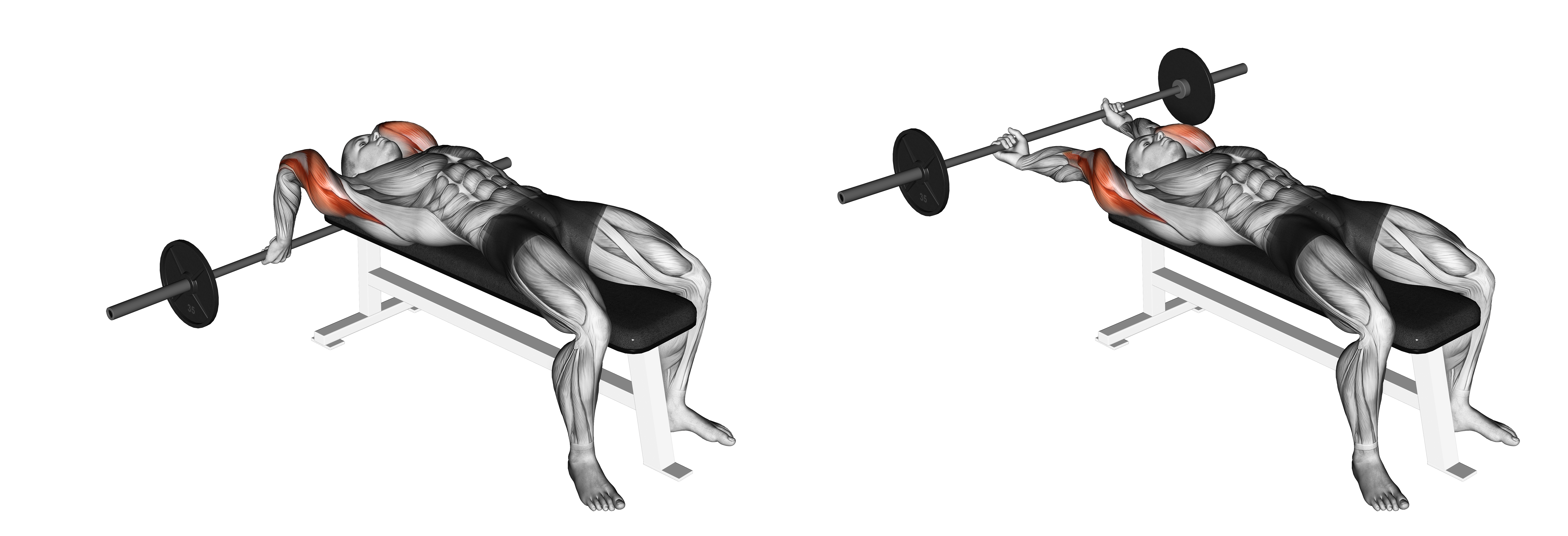 Barbell Lying Close Grip Triceps Extension