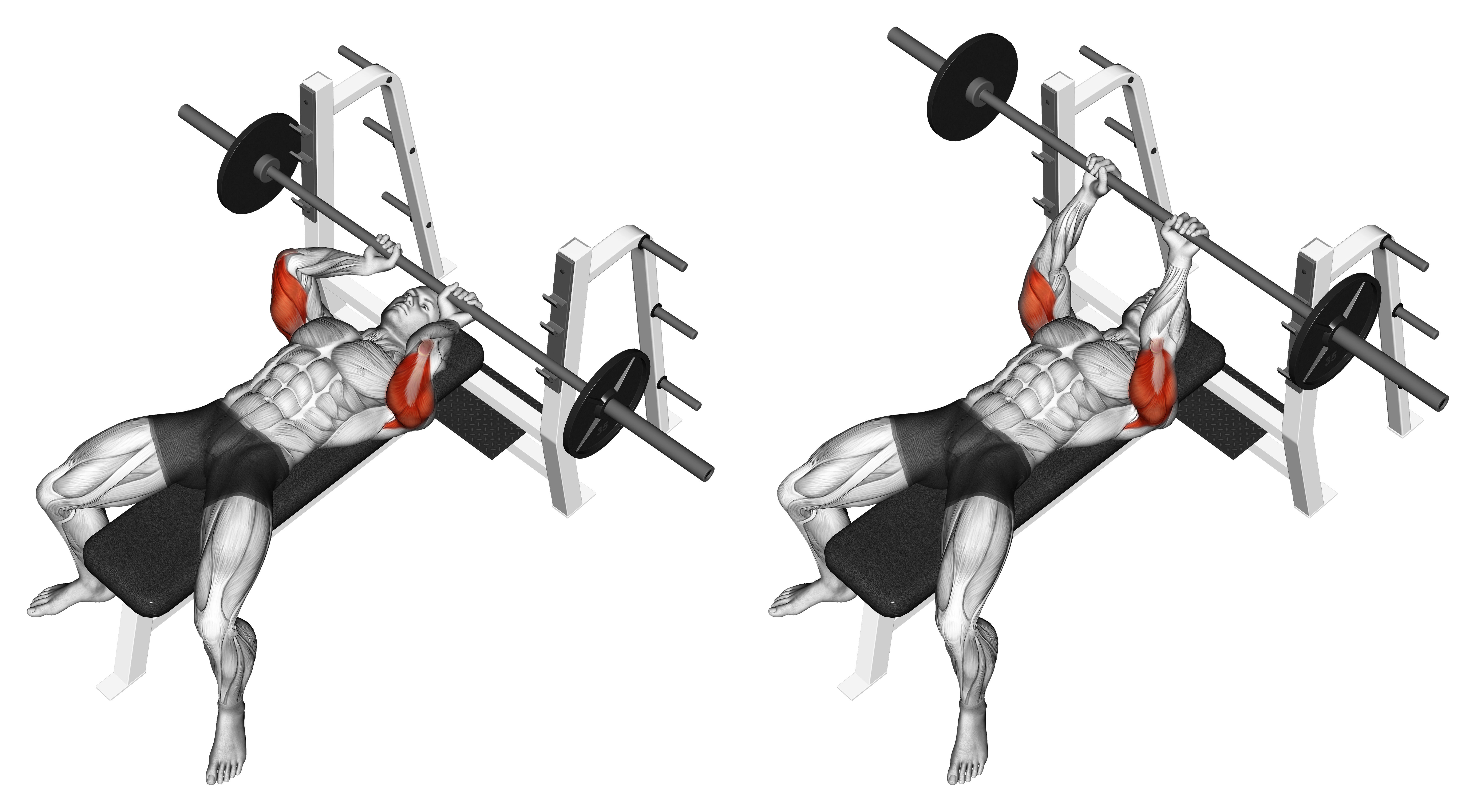 Barbell Lying Extension