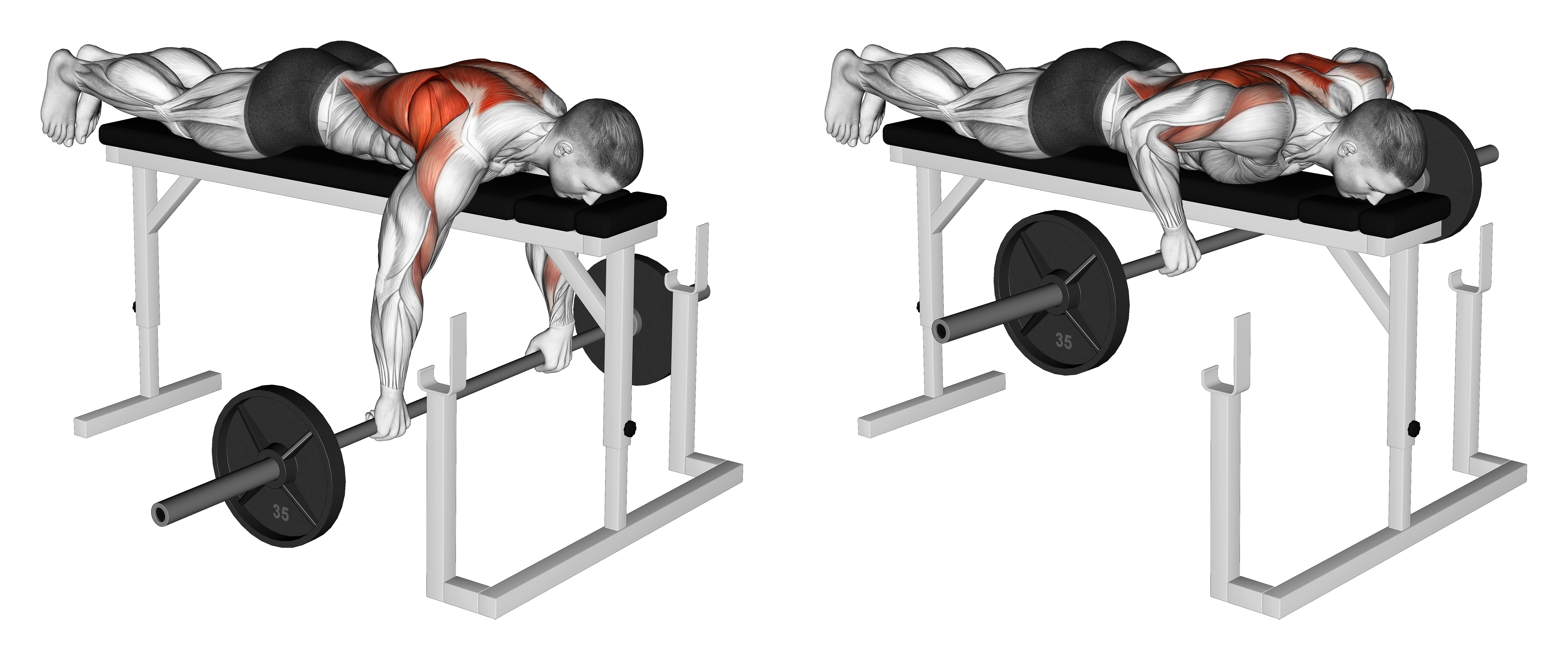 Barbell Lying Row On Rack