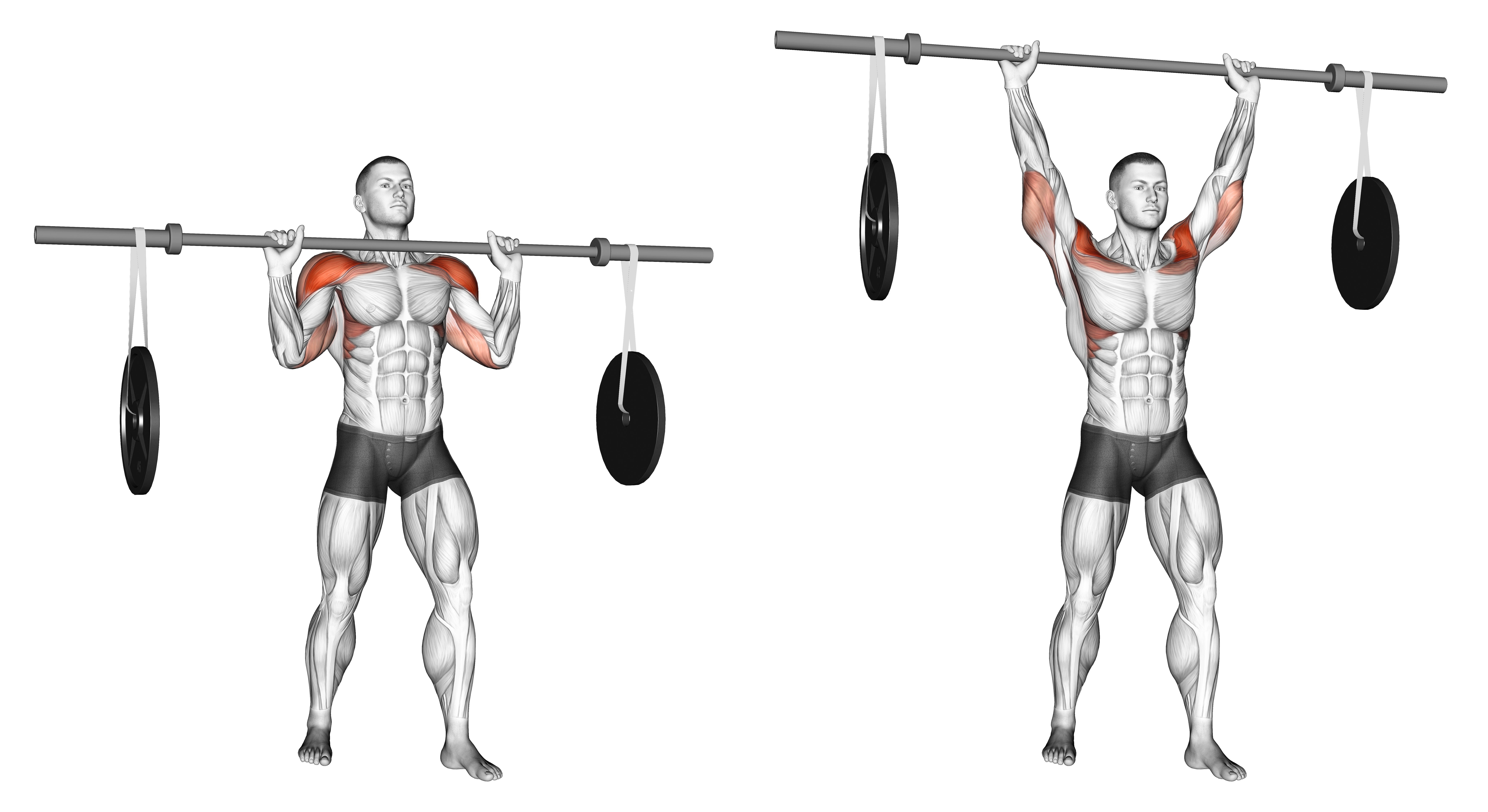 Barbell Military Press (with Hanging Band Technique)