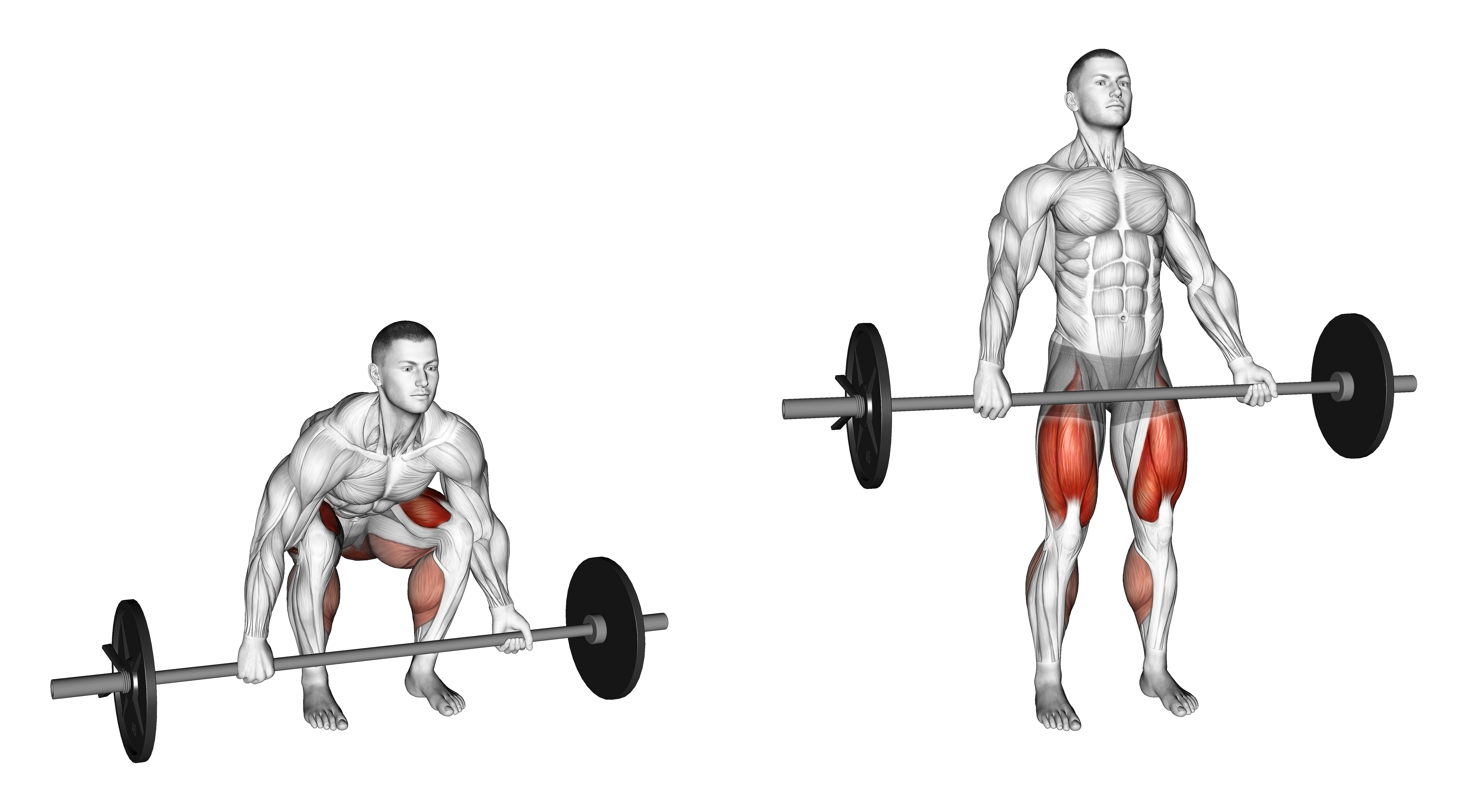 Barbell Mixed Grip Deadlift