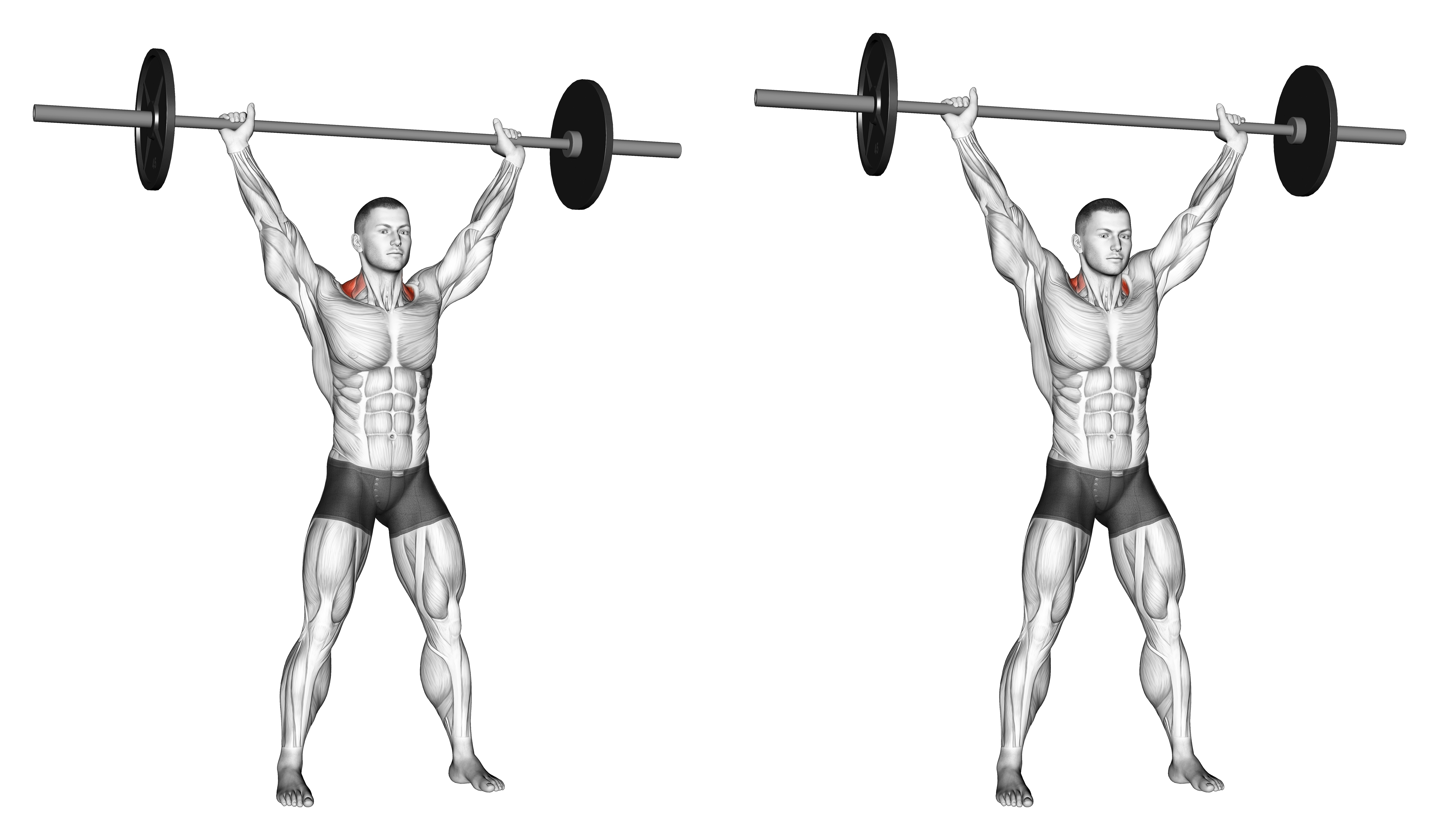 Barbell Overhead Shrug