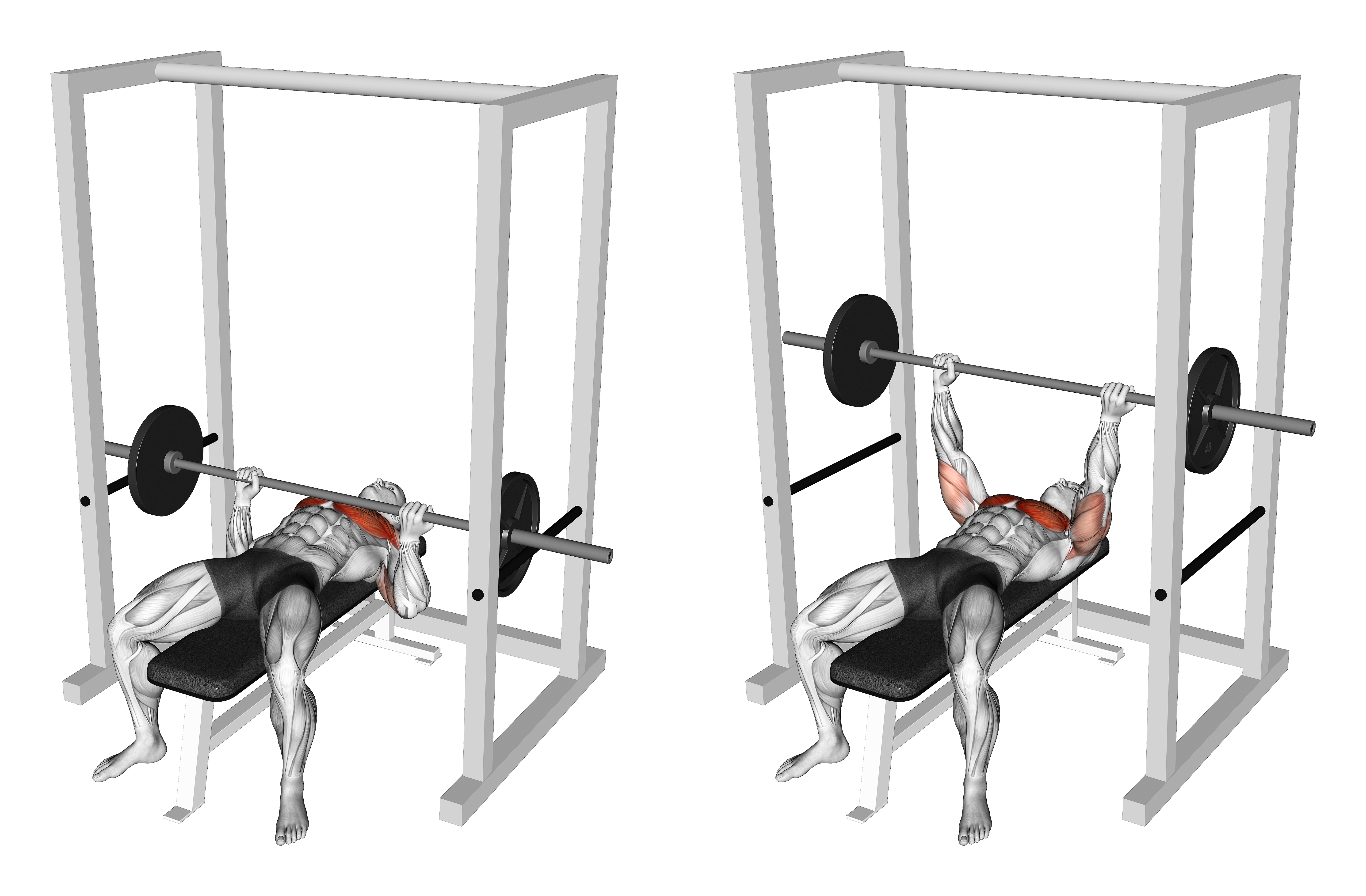 Barbell Pin Bench Press Conventional Grip
