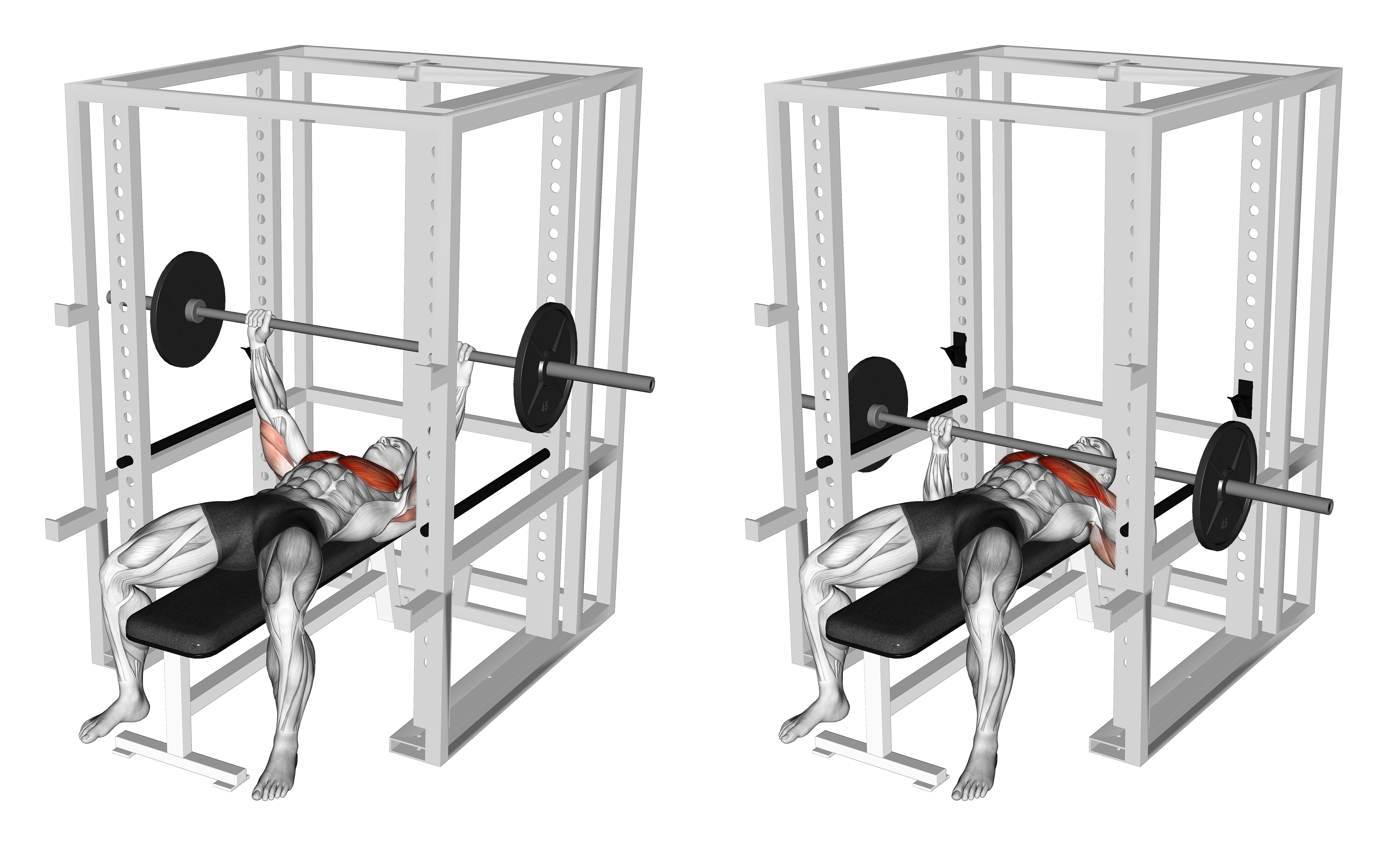Barbell Pin Chest Press