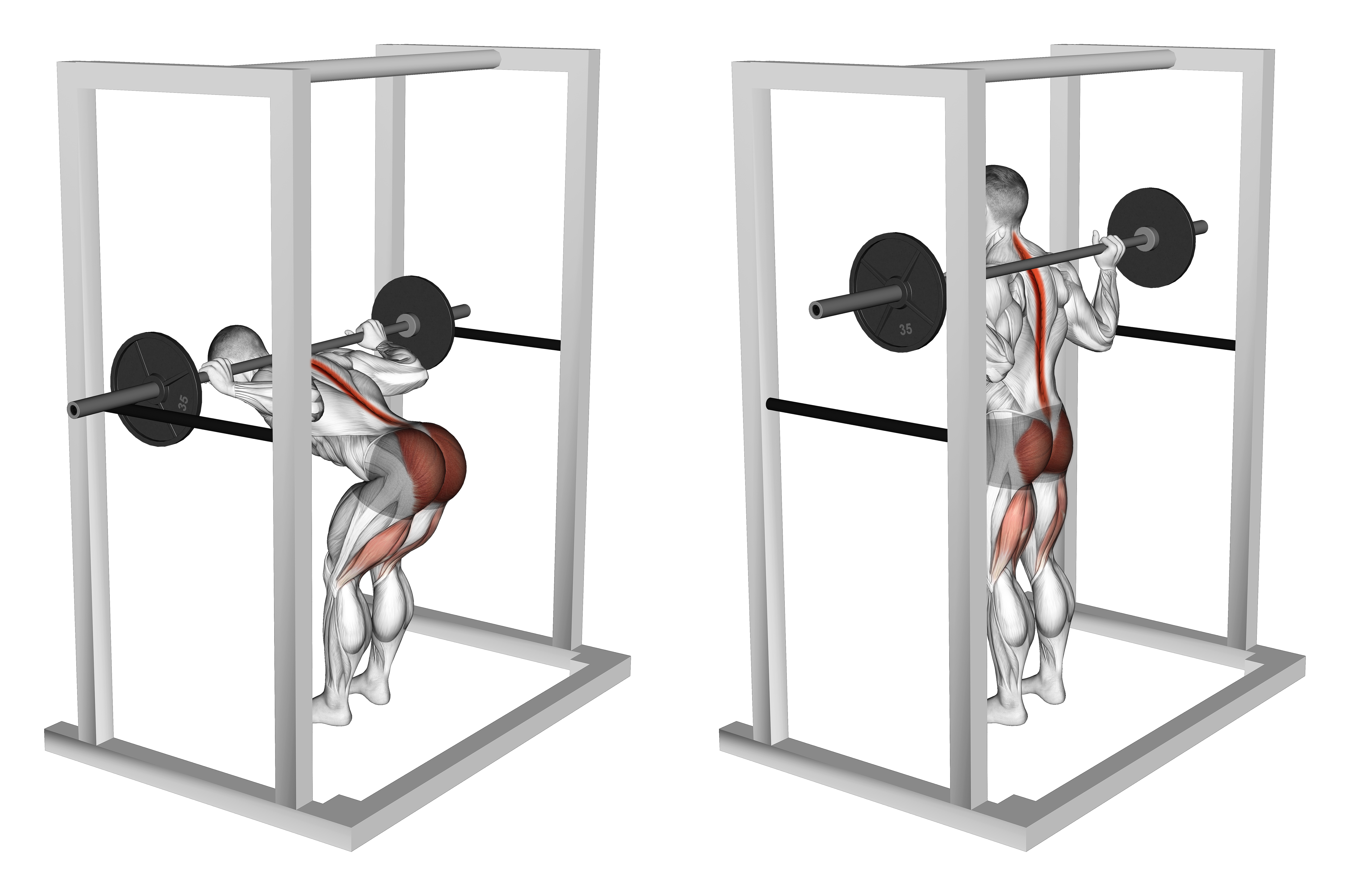 Barbell Pin Good Morning