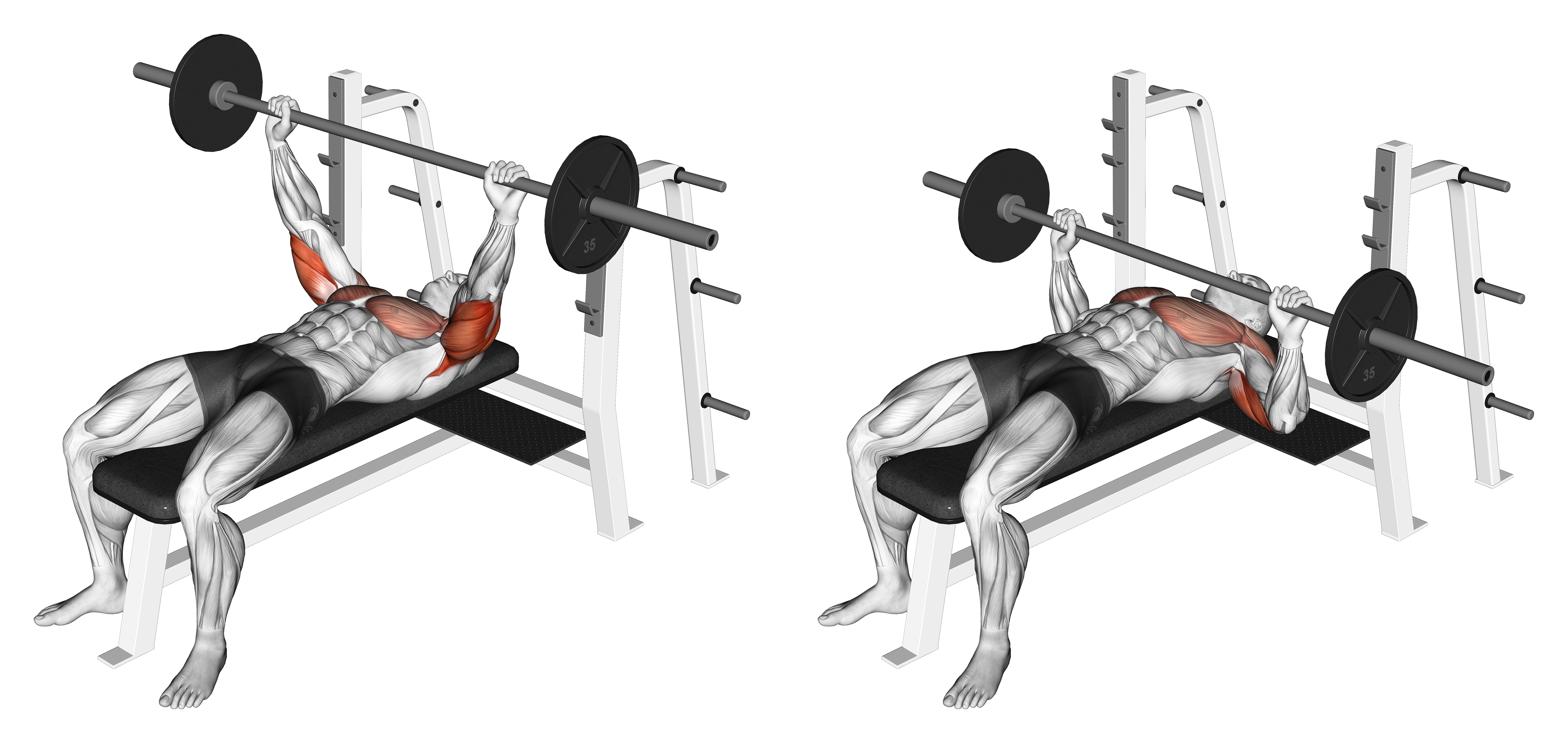 Barbell Pin Presses