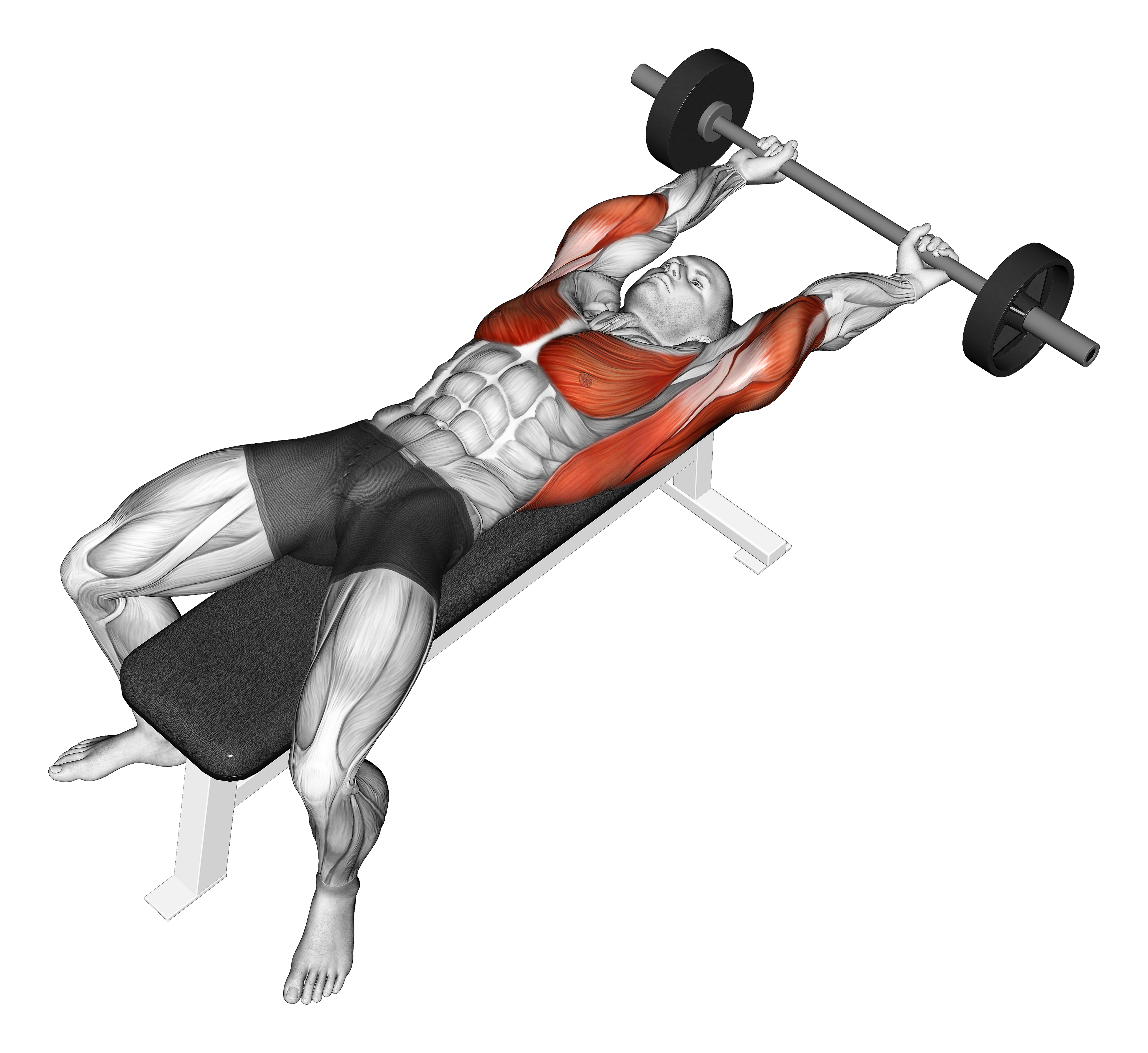 Barbell Pullover Hold