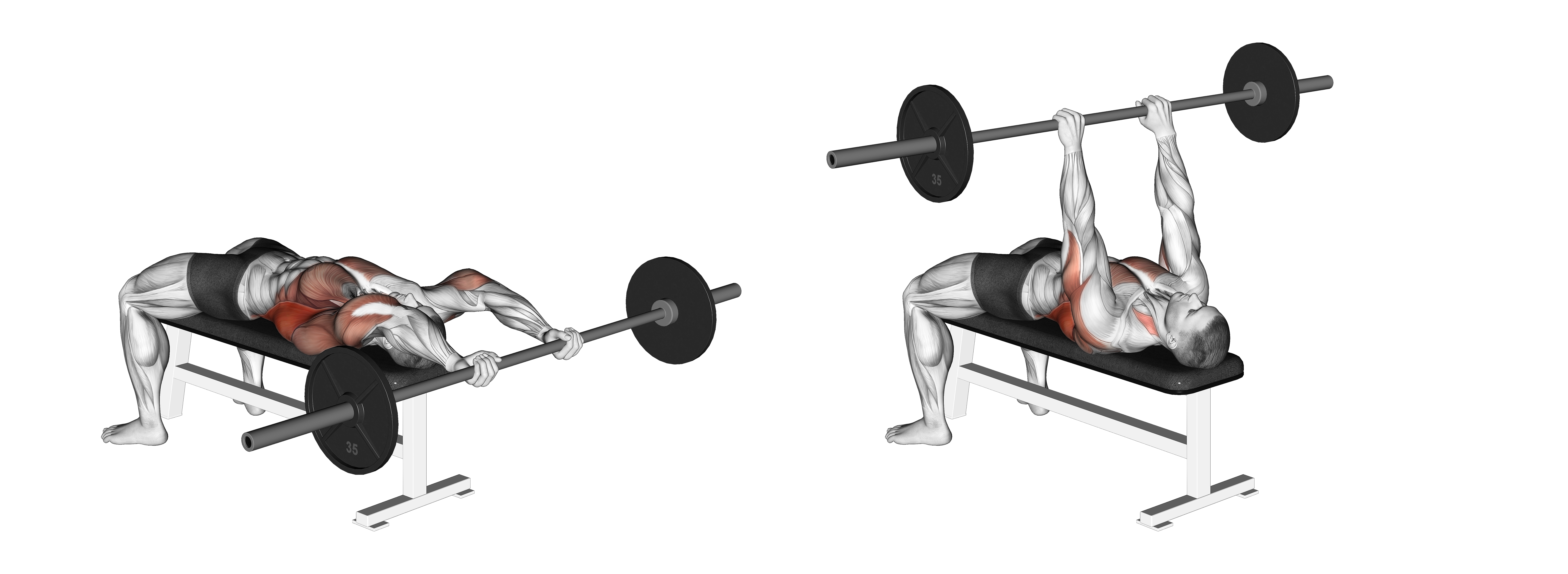Barbell Pullover