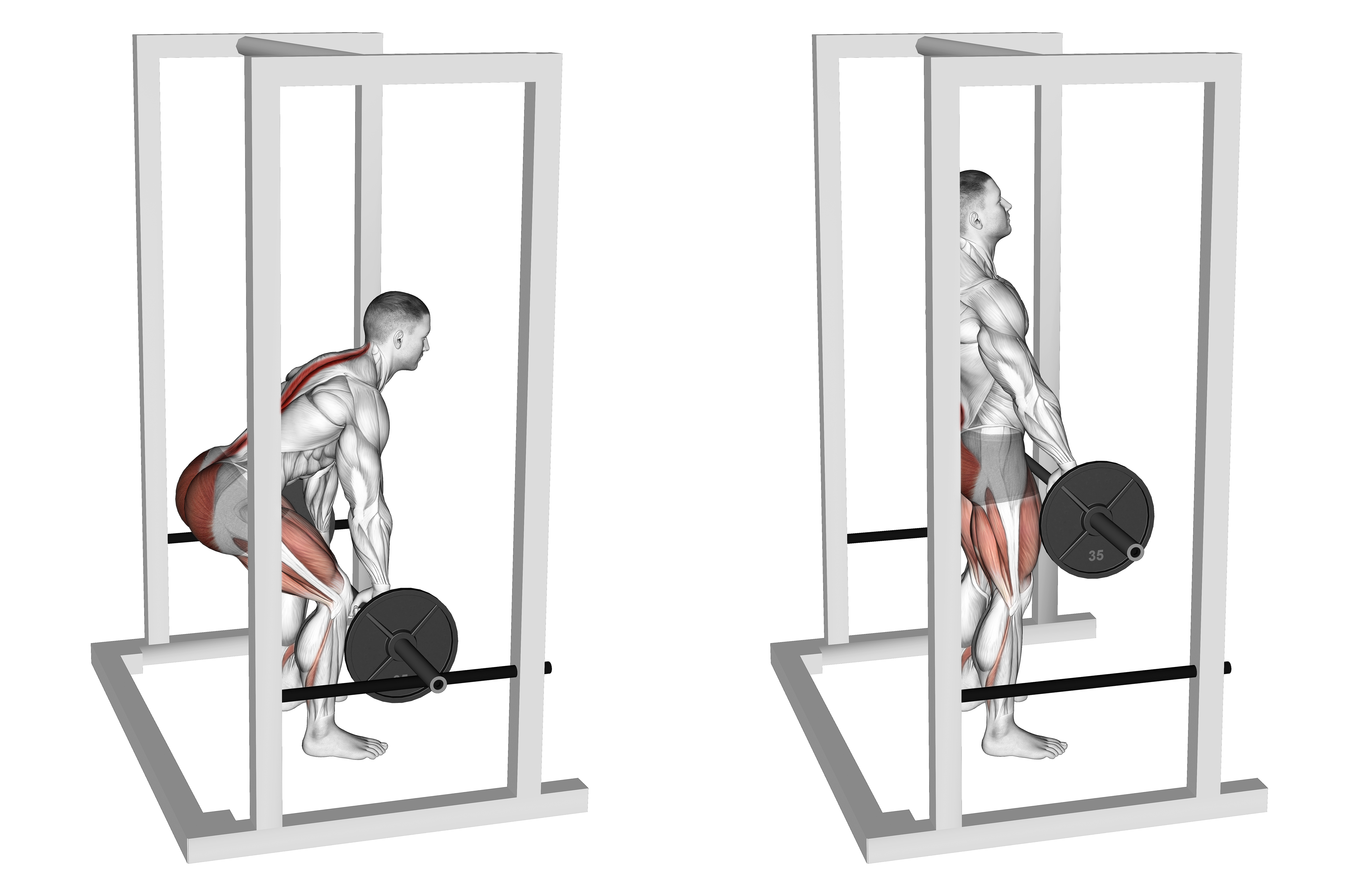 Barbell Rack Pull