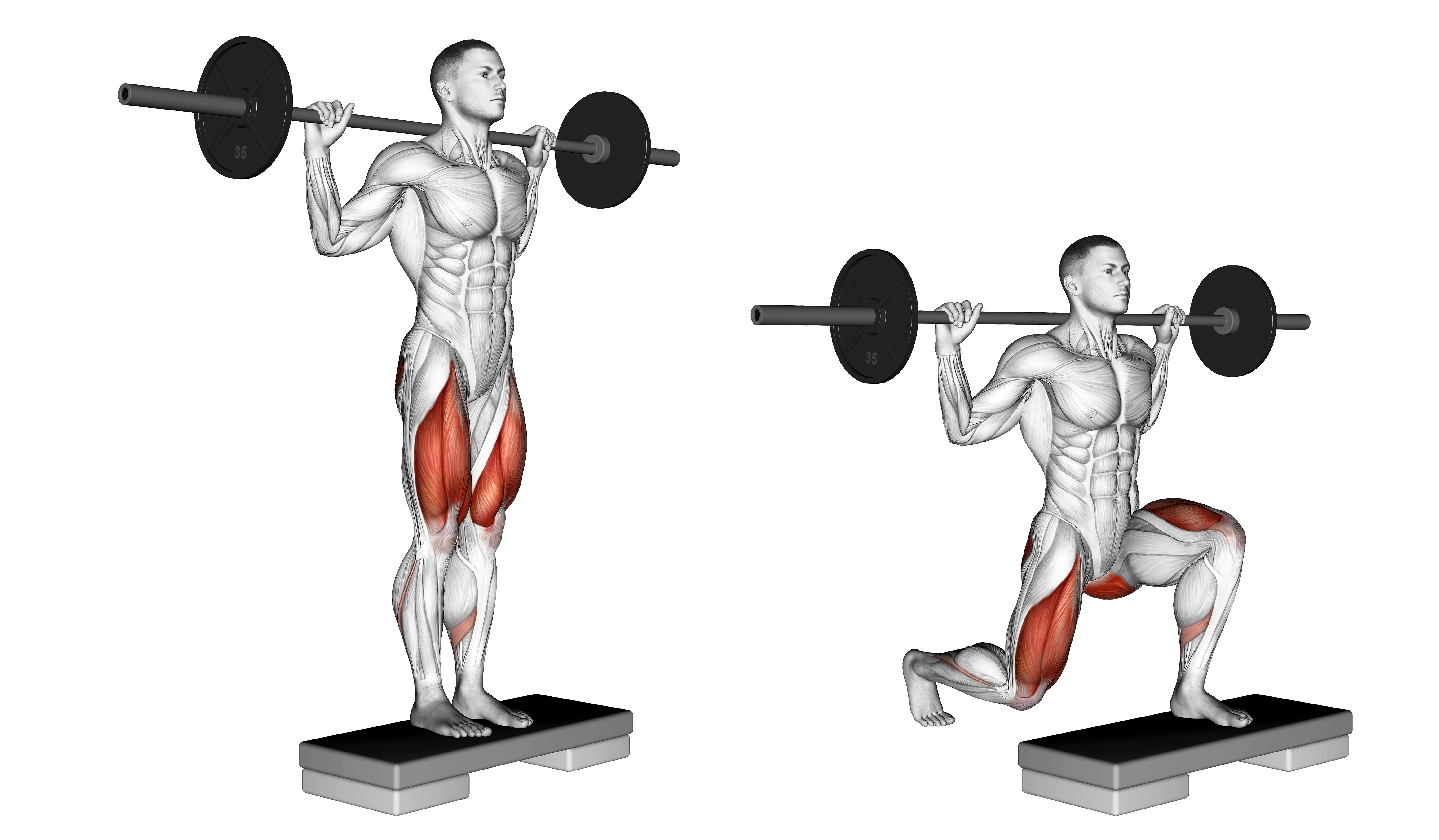Barbell Rear Lunge Ii