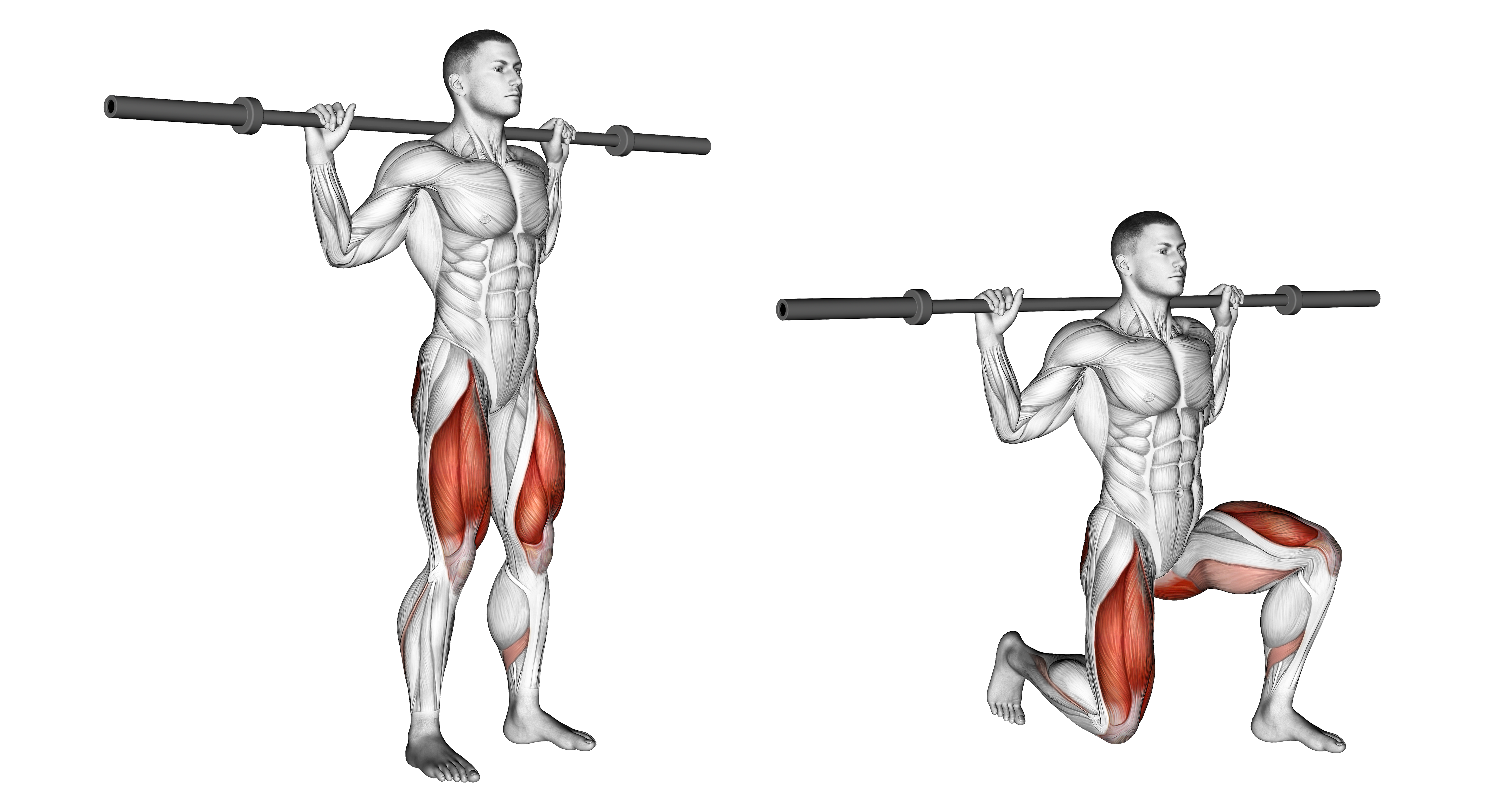 Barbell Rear Lunge (without Weight)