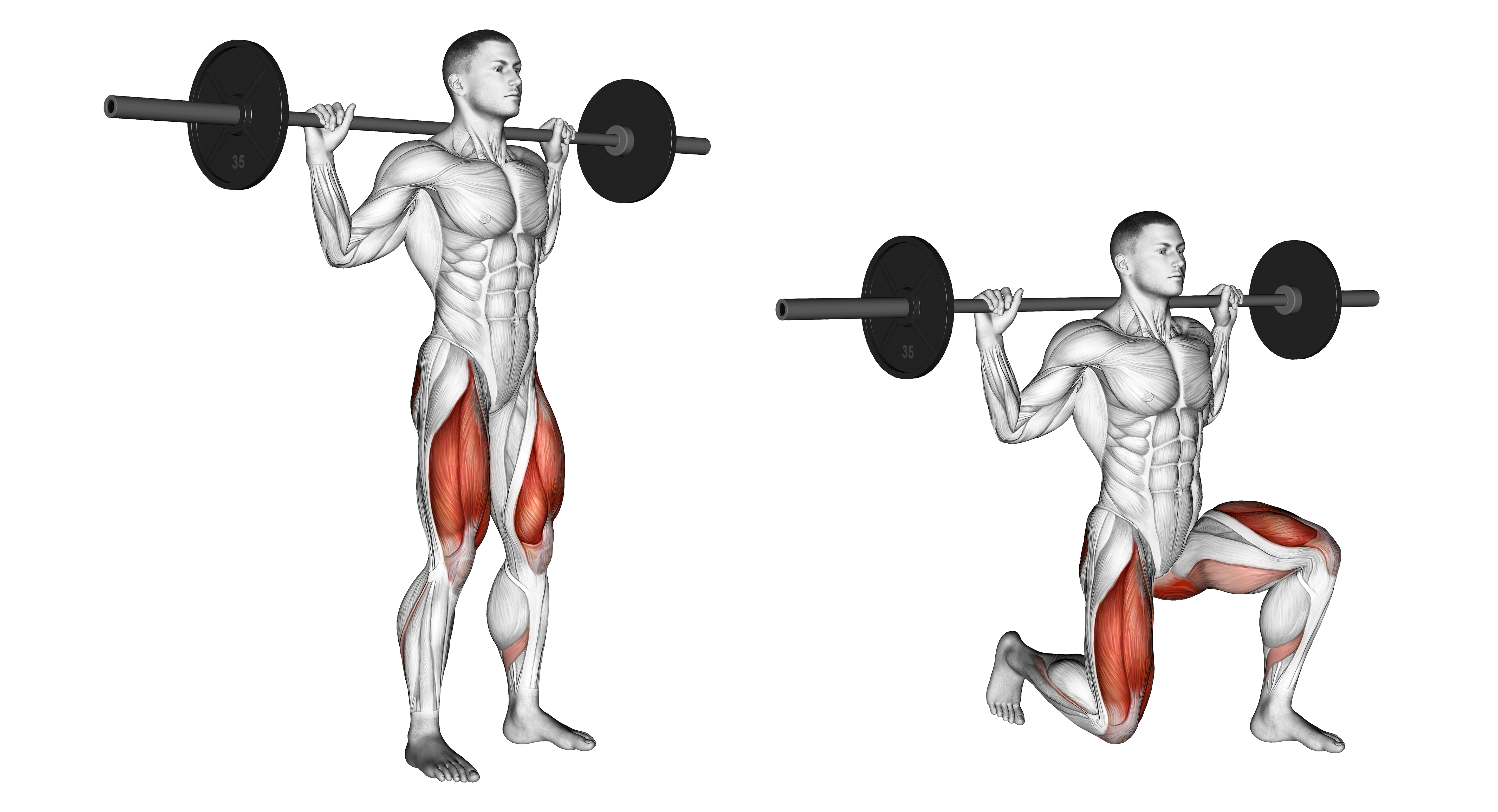 Barbell Rear Lunge