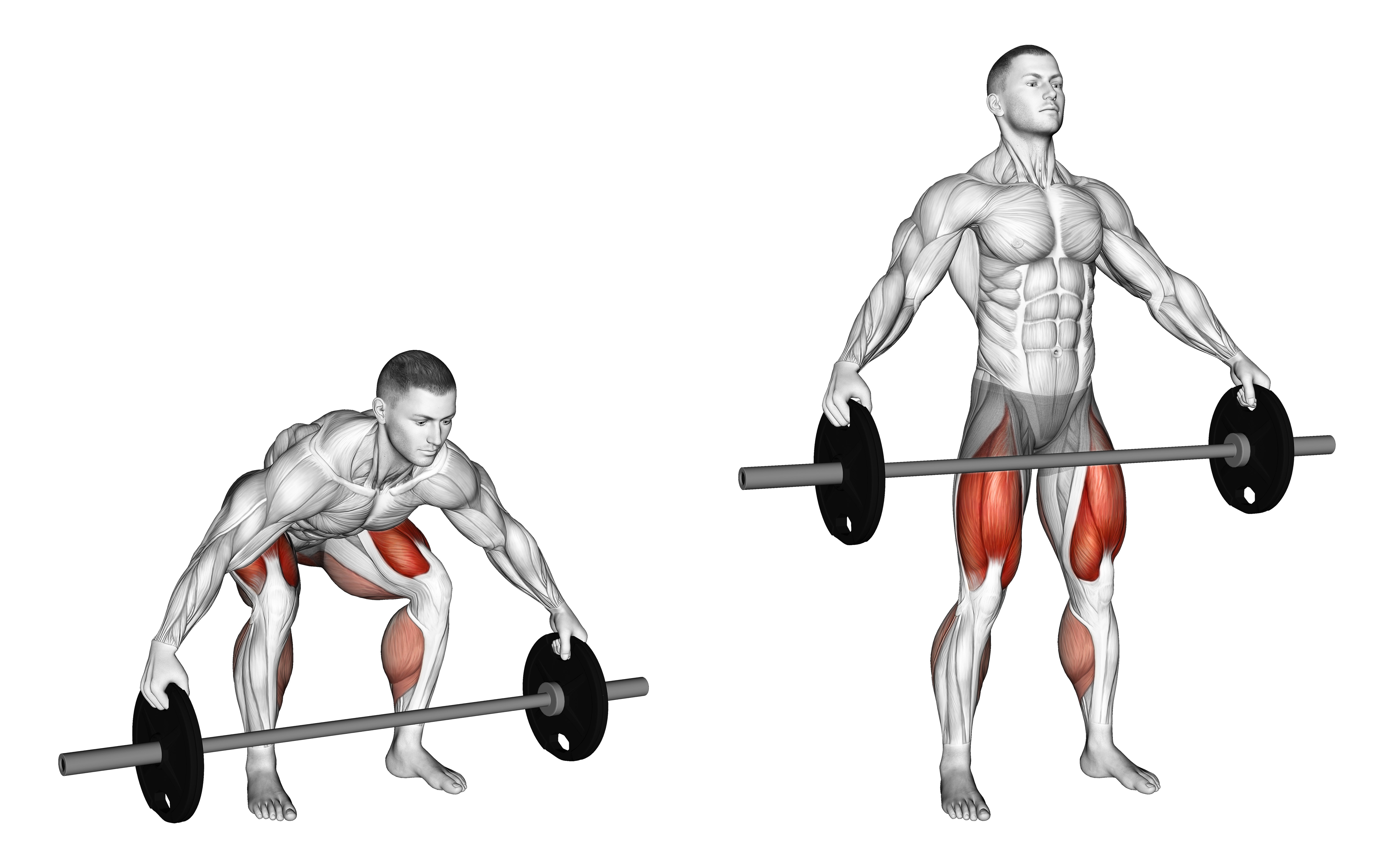 Barbell Reeves Deadlift