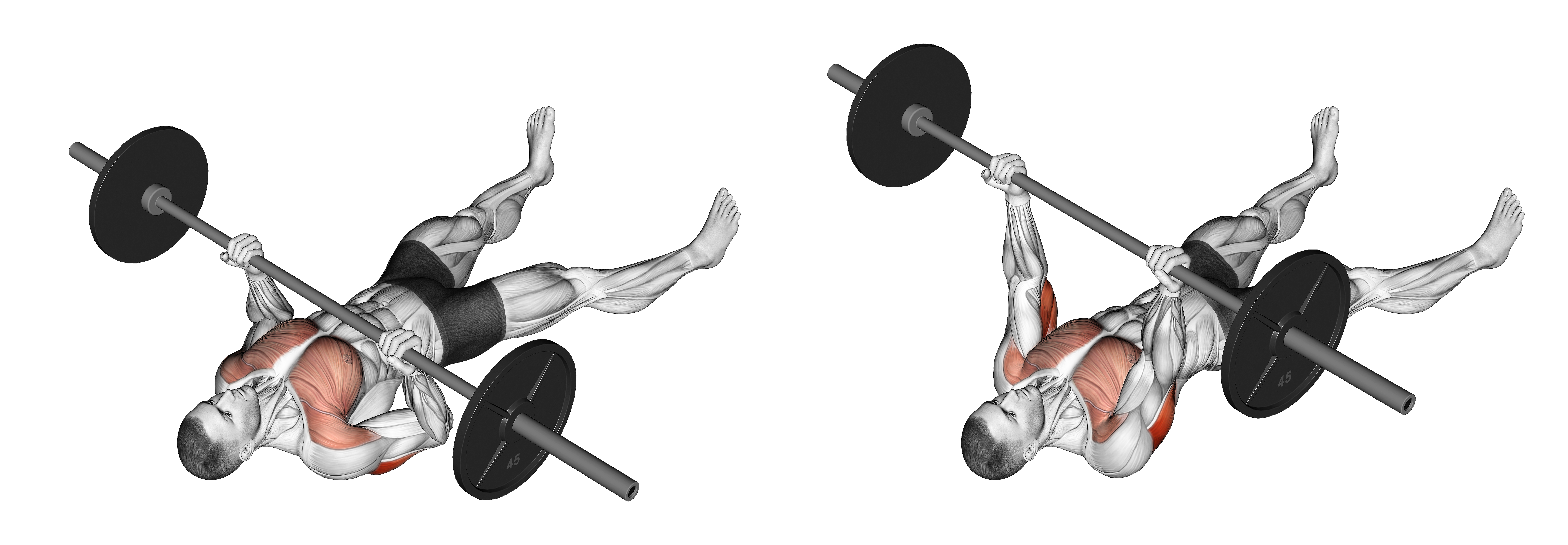Barbell Reverse Grip Floor Press