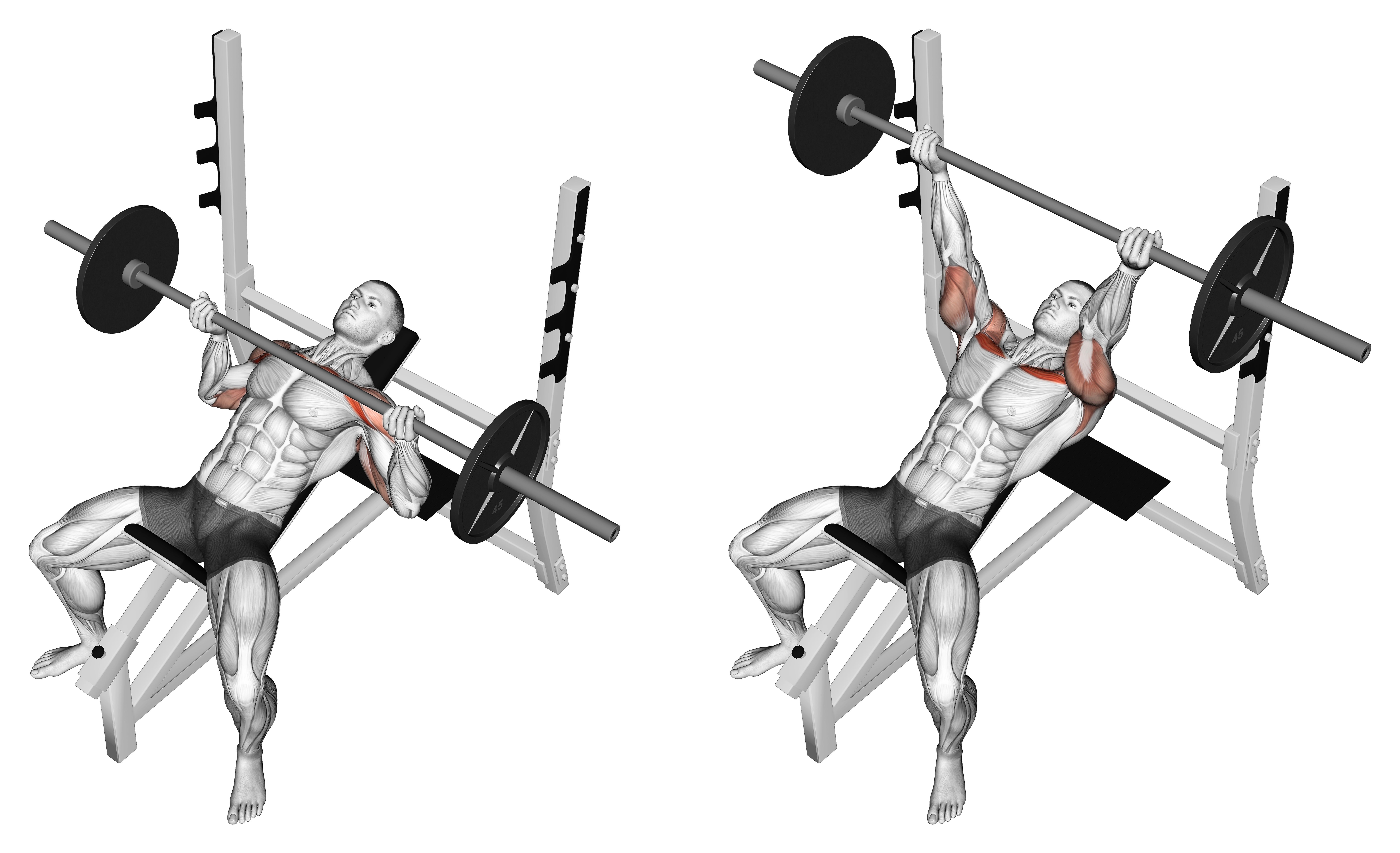 Barbell Reverse Grip Incline Bench Press