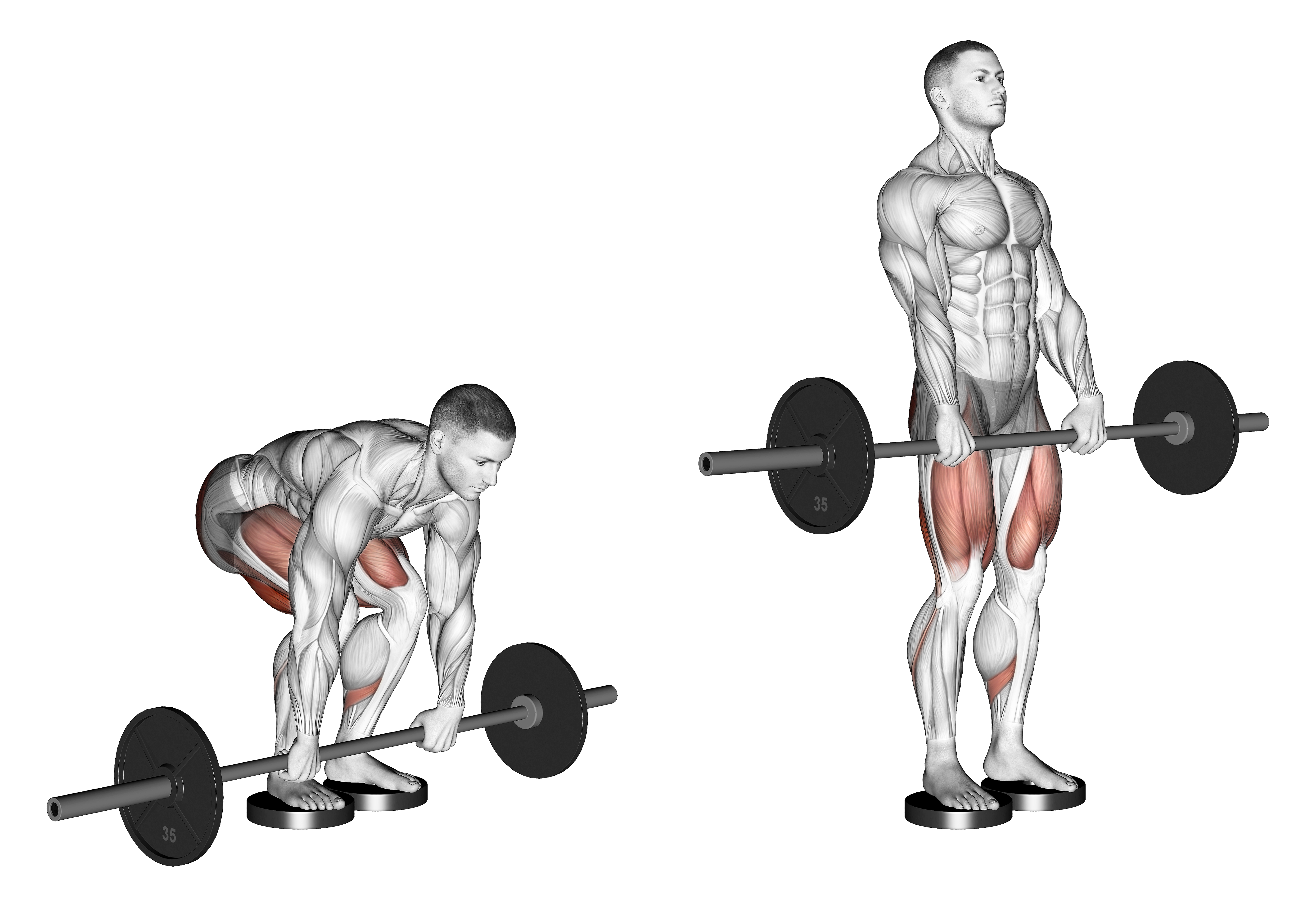 Barbell Romanian Deadlift From Deficit
