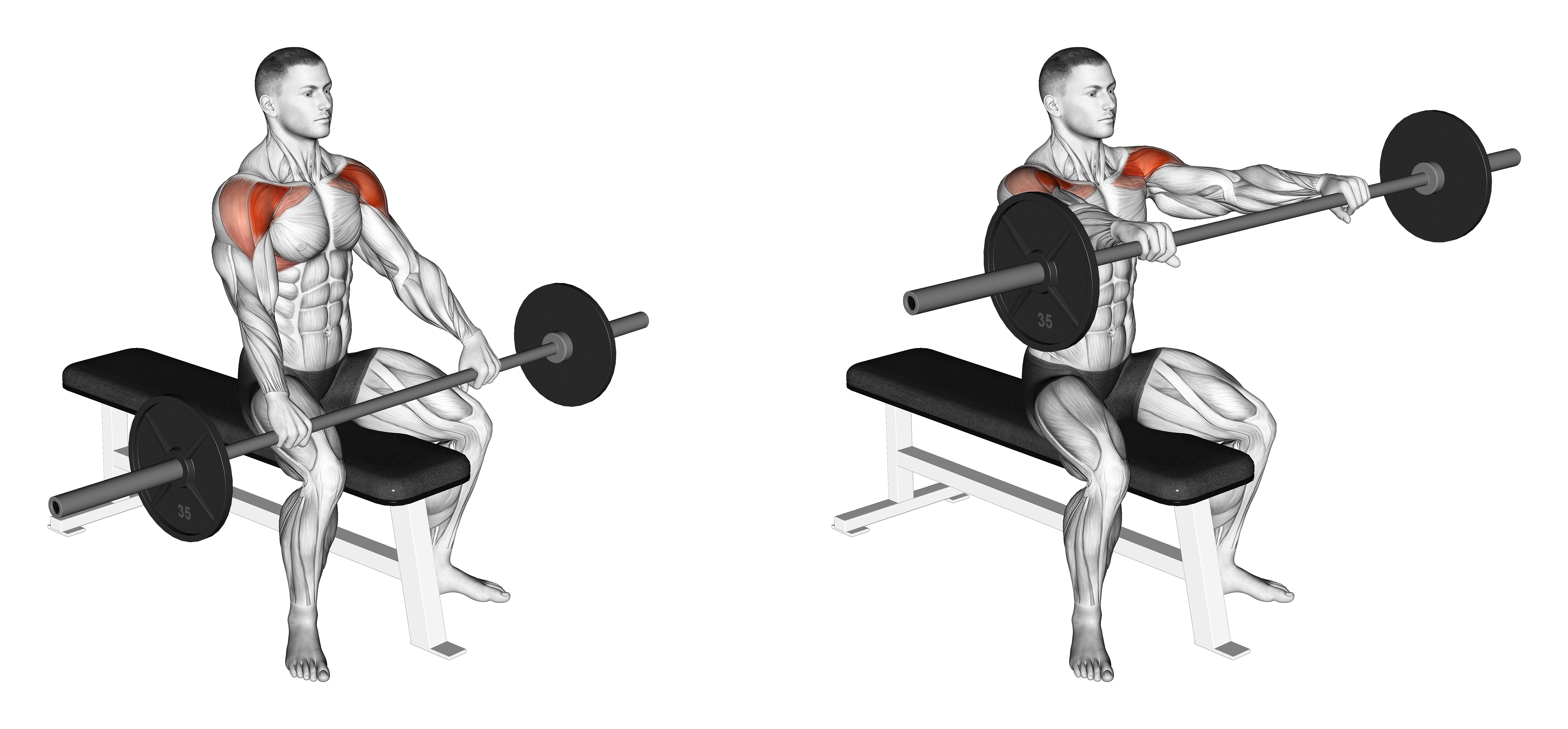 Barbell Seated Front Raise