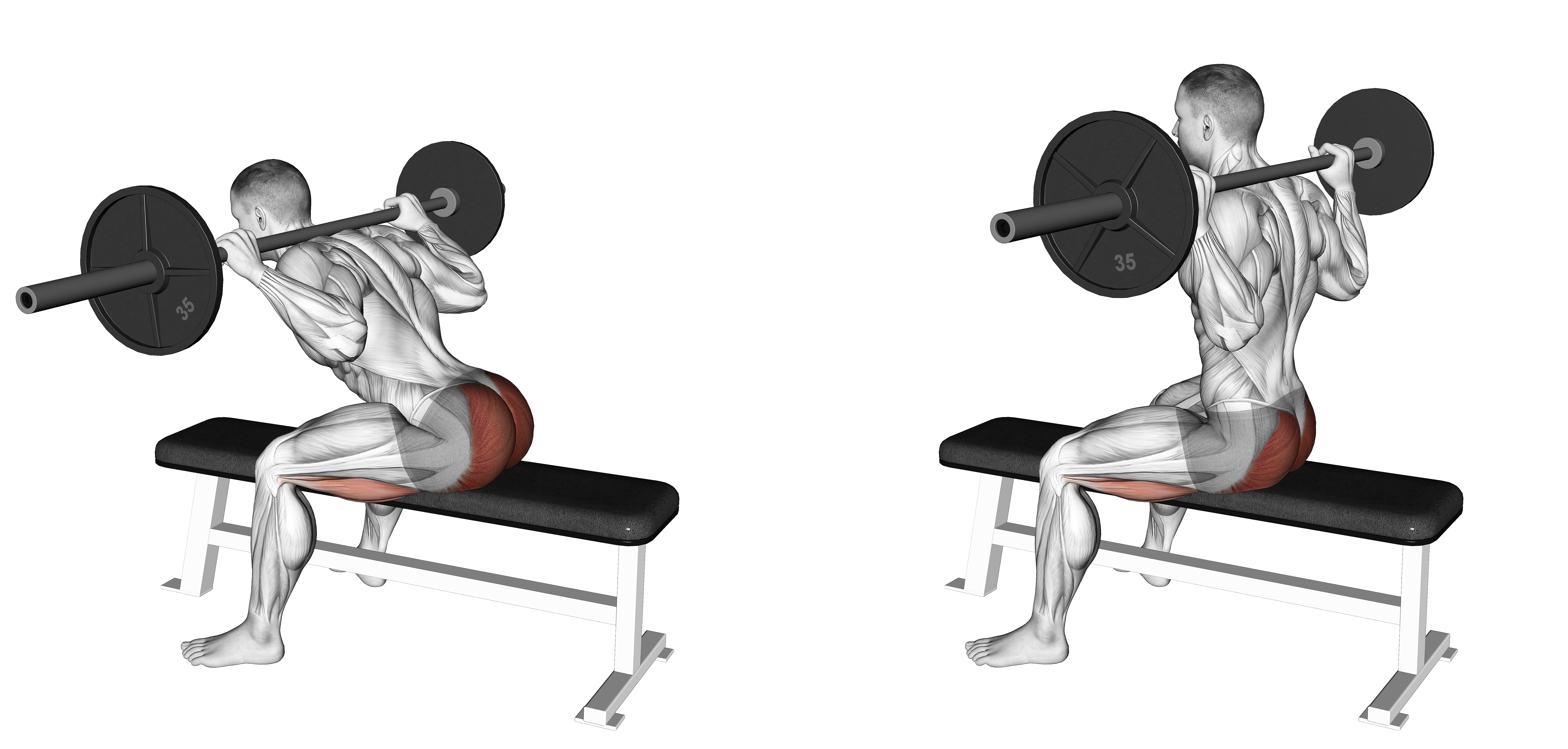 Barbell Seated Good Morning
