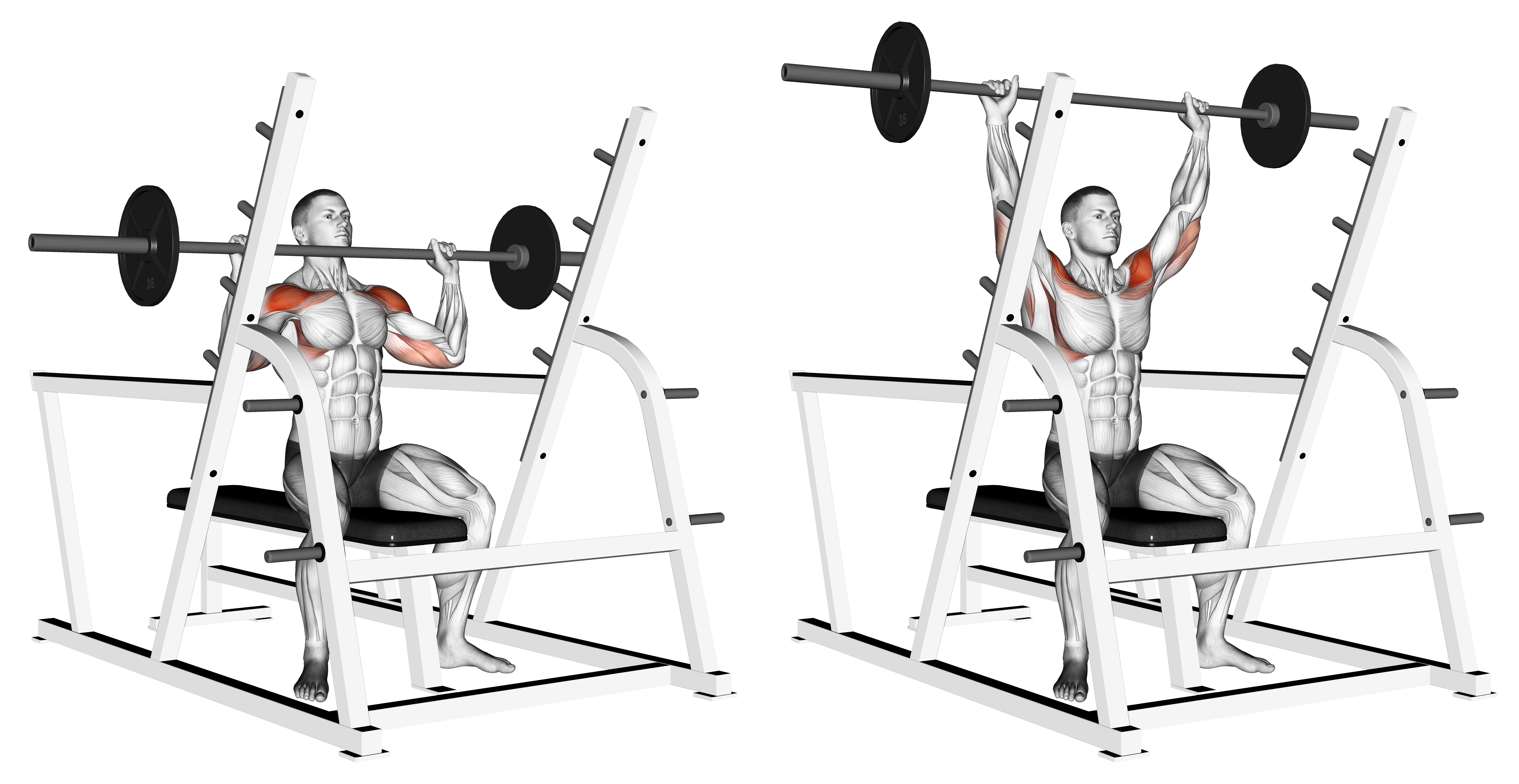 Barbell Seated Military Press (inside Squat Cage)