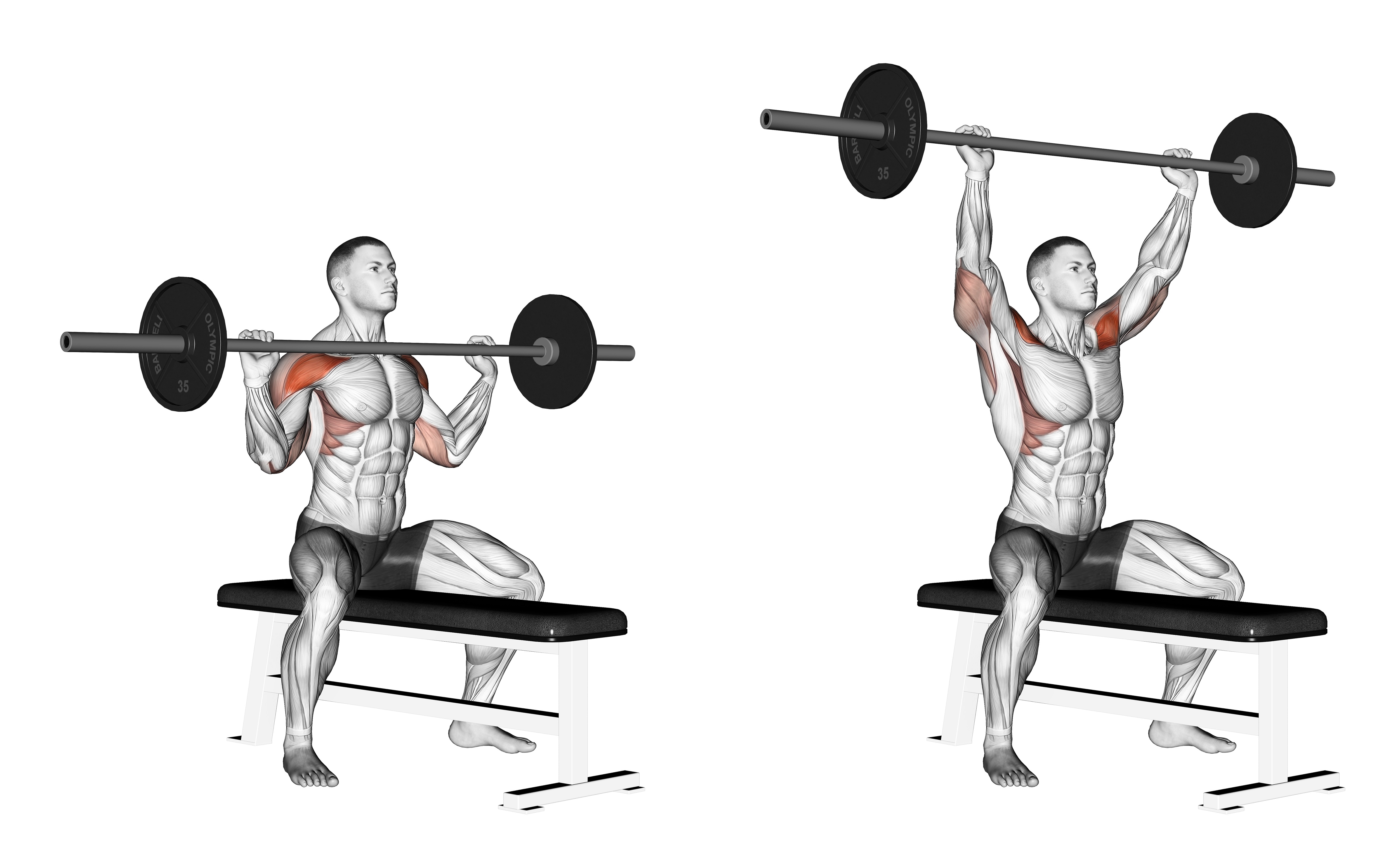 Barbell Seated Overhead Press