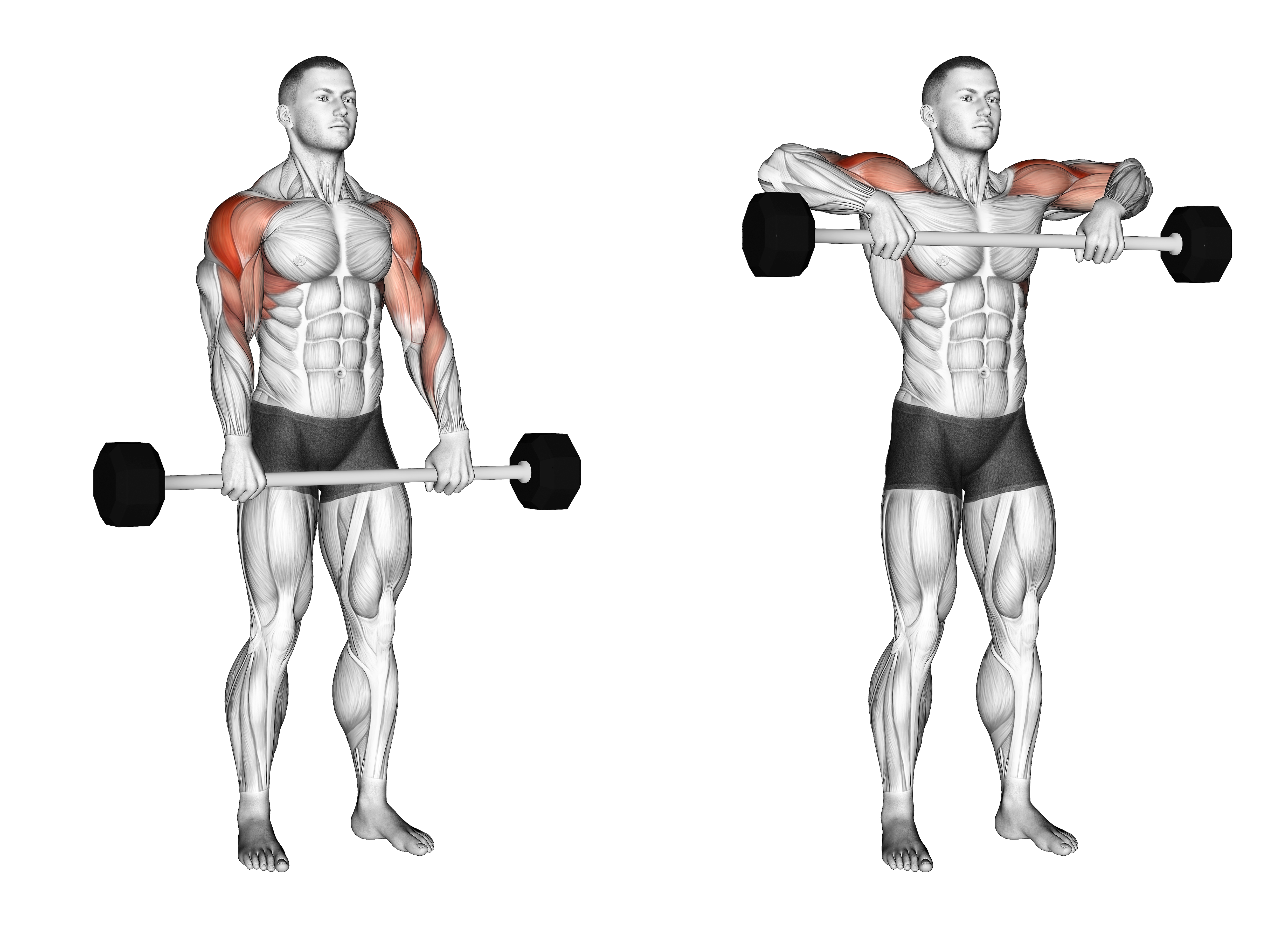 Barbell Shoulder Grip Upright Row