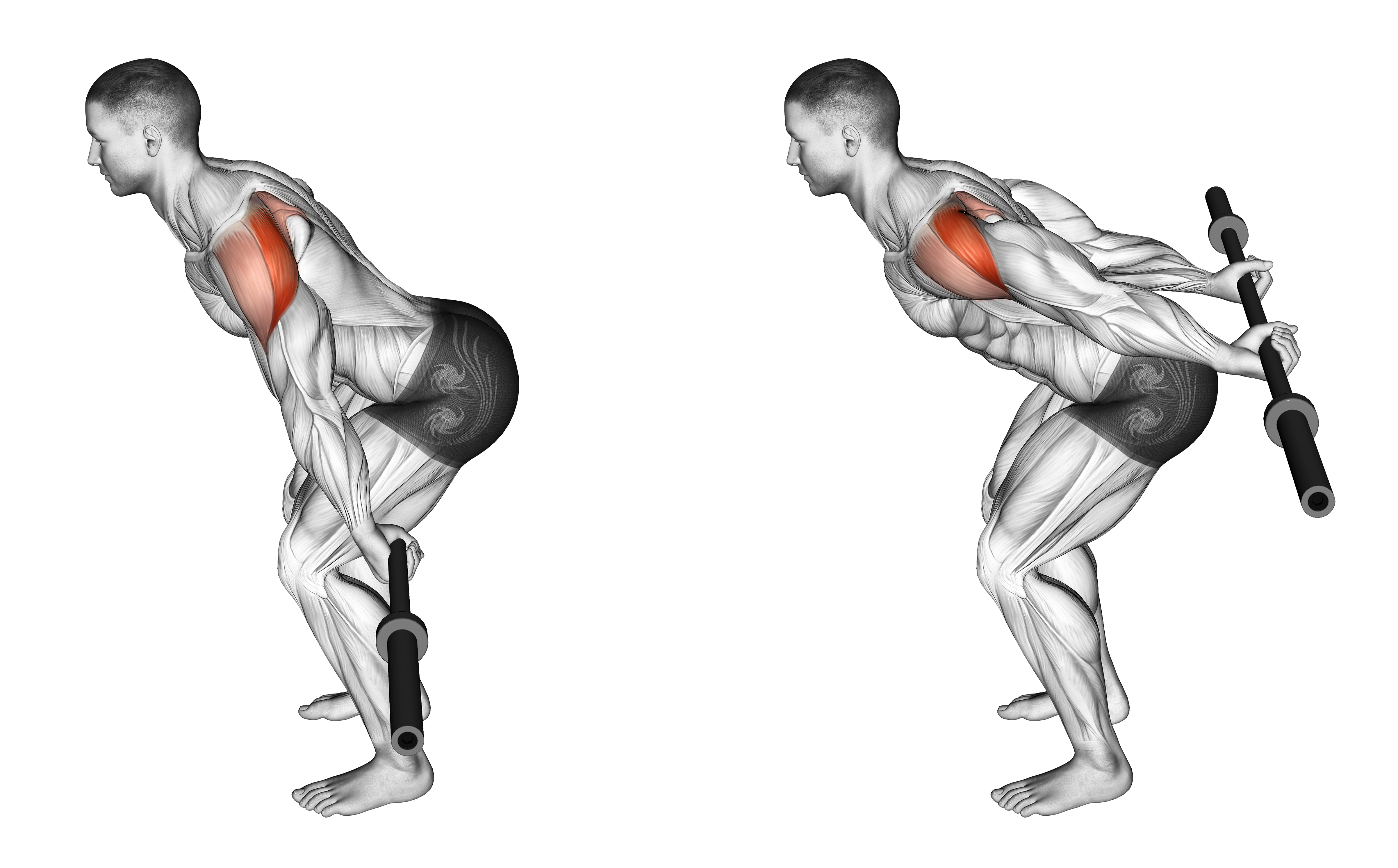 Barbell Skier