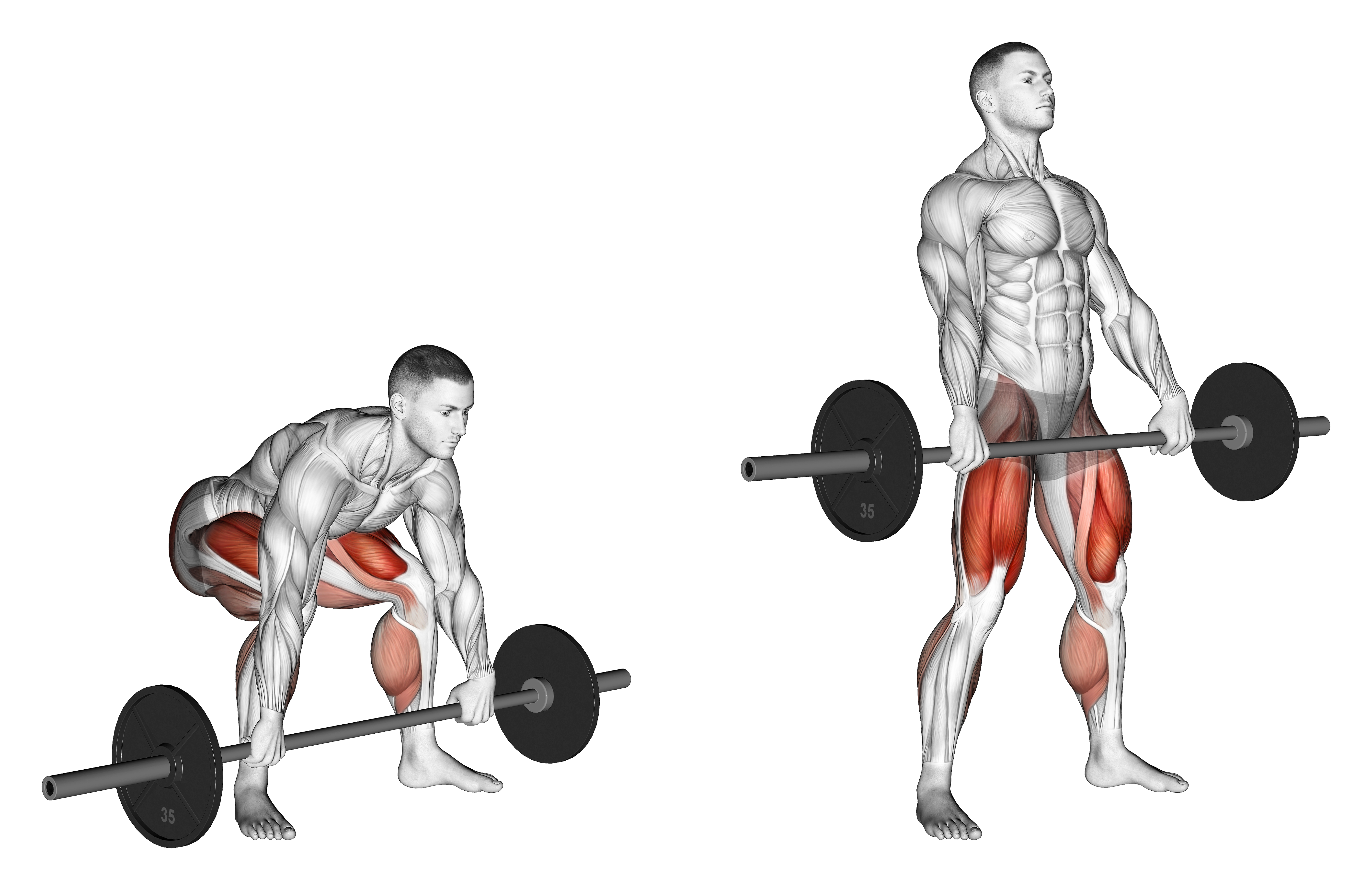 Barbell Snatch Deadlift