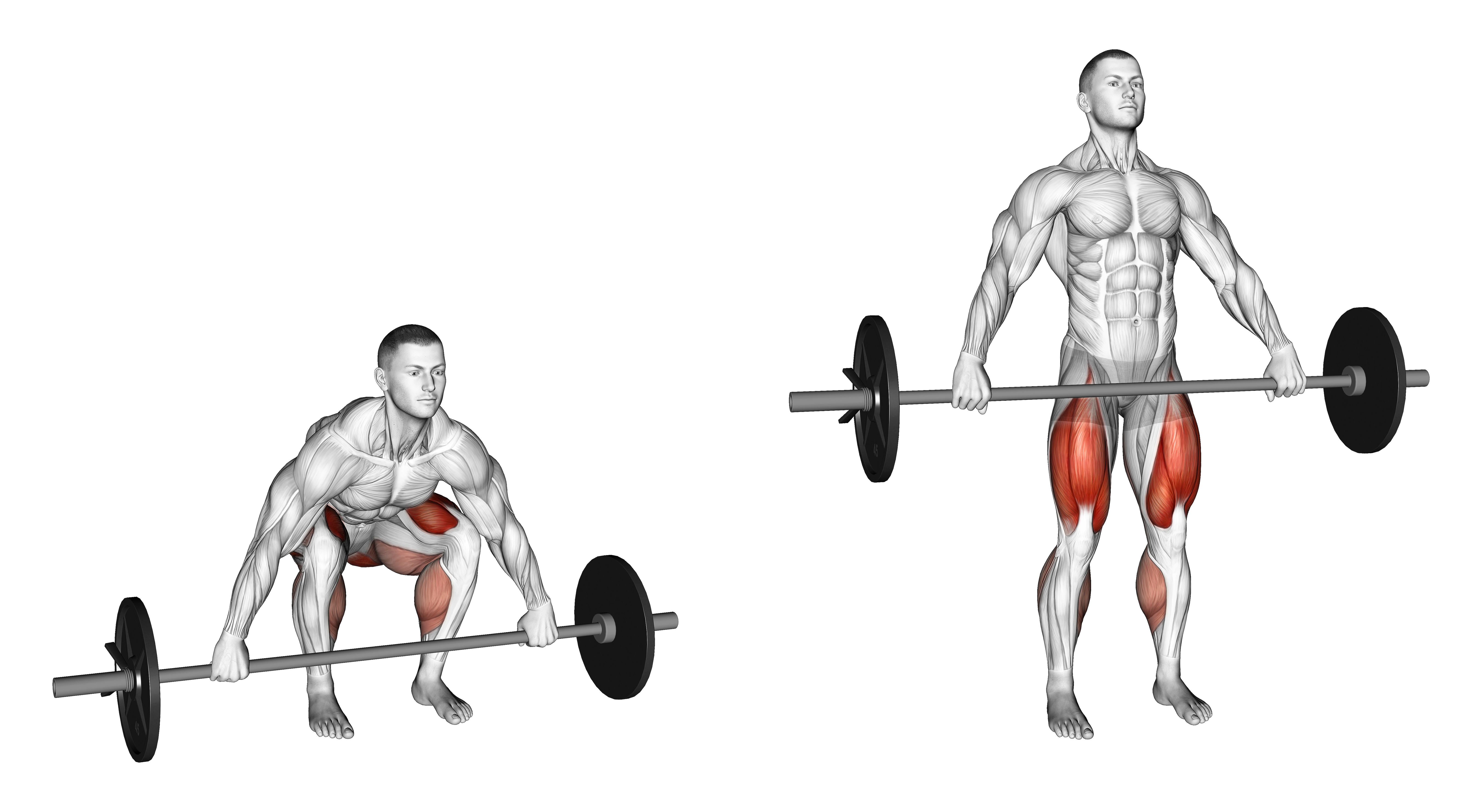 Barbell Snatch Grip Deadlift