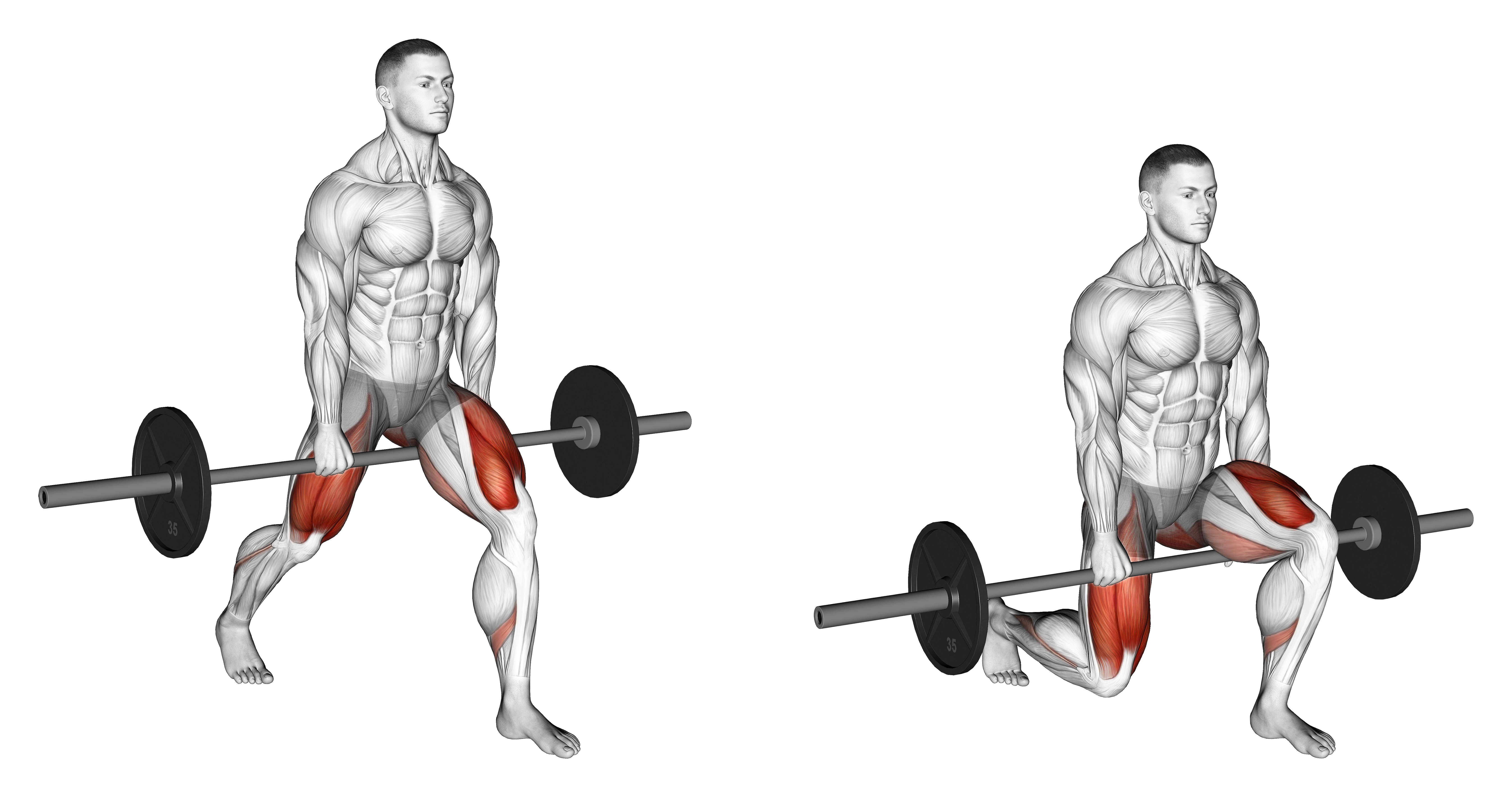 Barbell Split Squat (version 2)