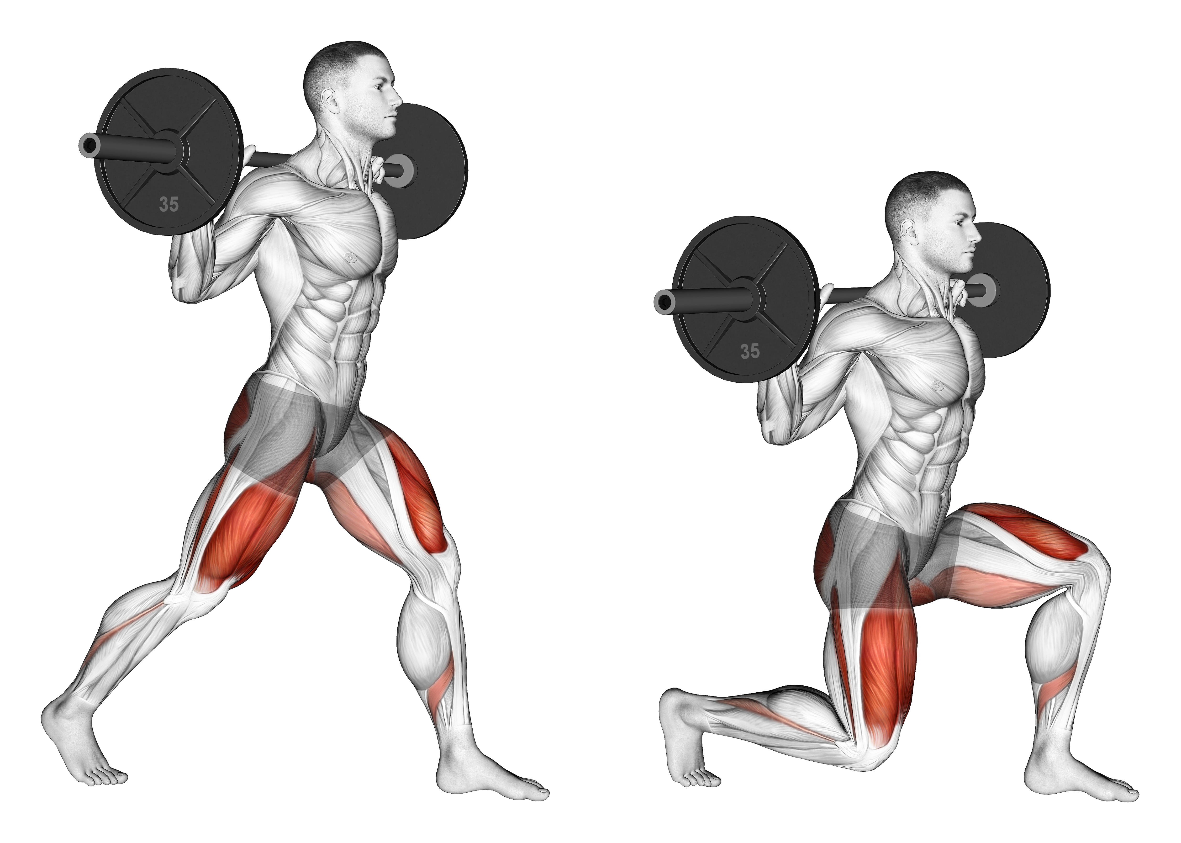 Barbell Split Squat