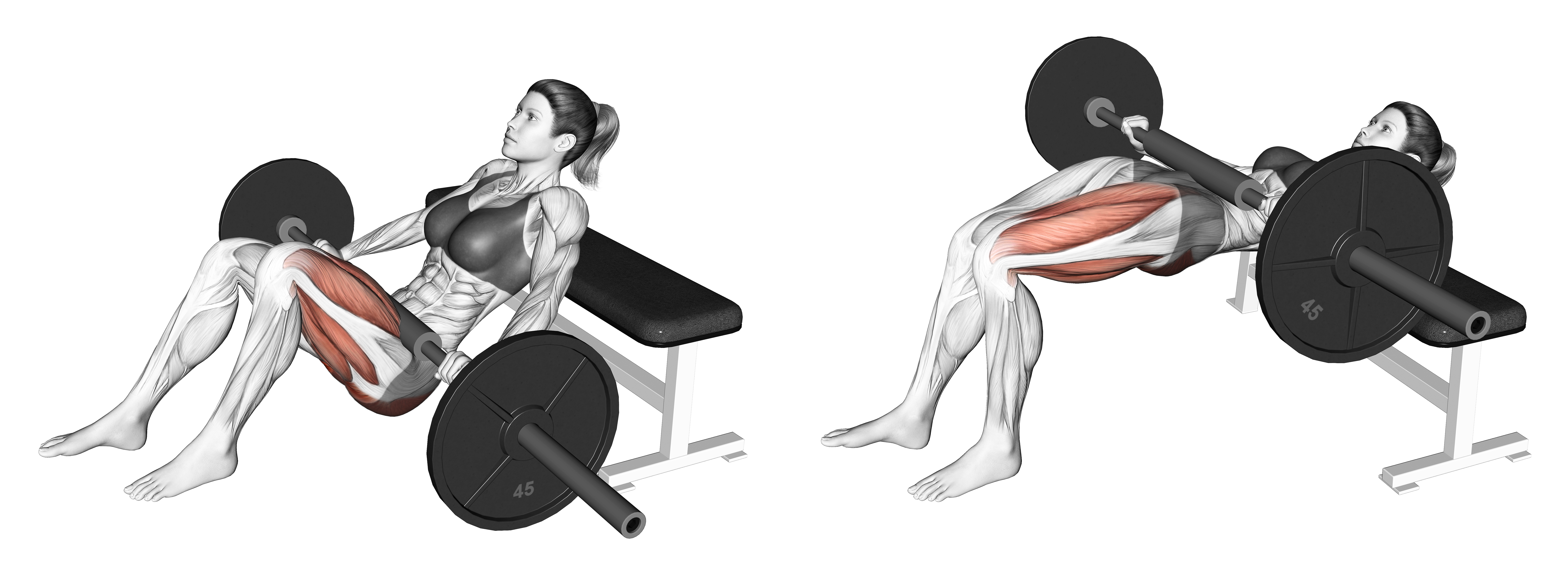 Barbell Staggered Stance Hip Thrust