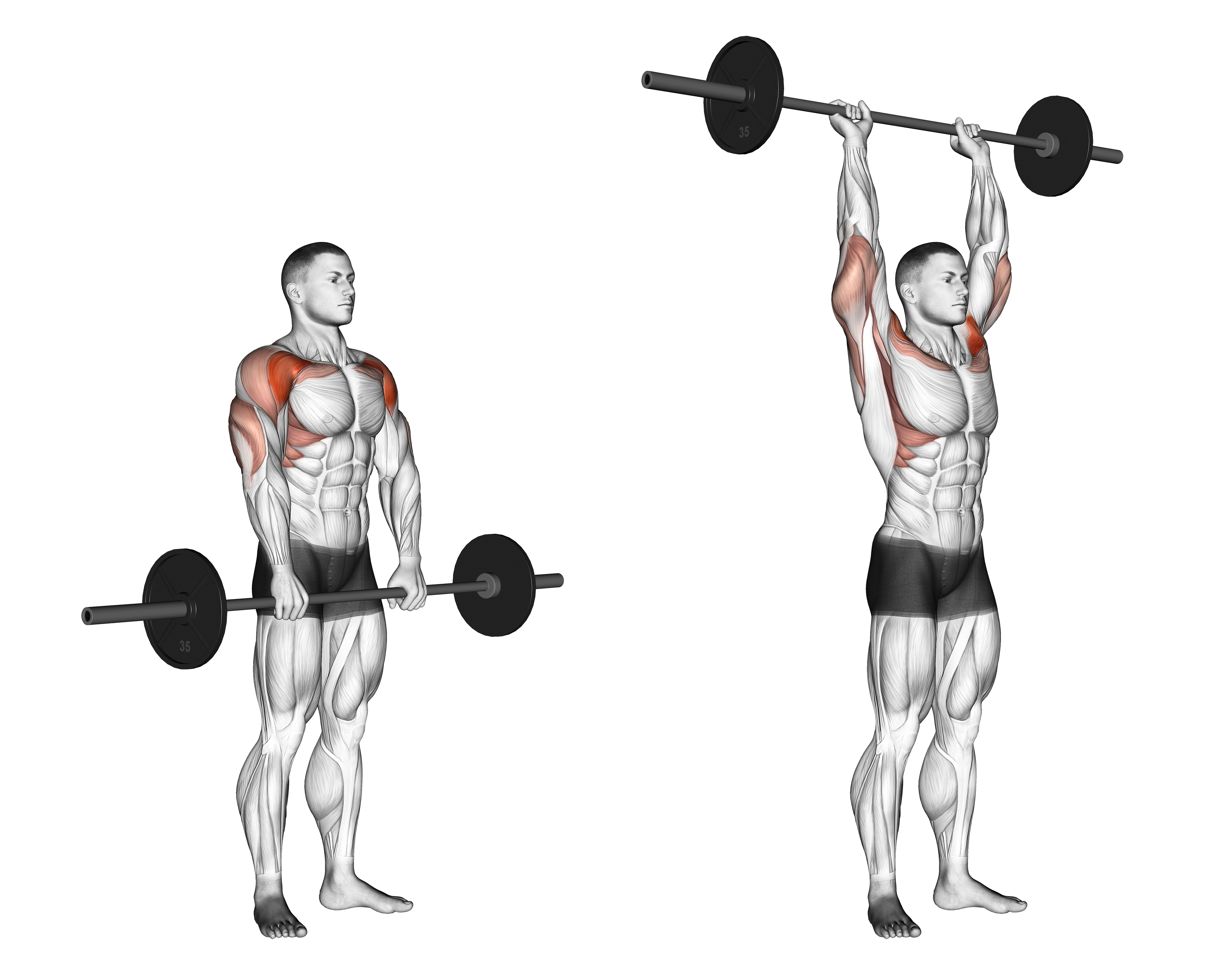 Barbell Standing Front Raise Over Head