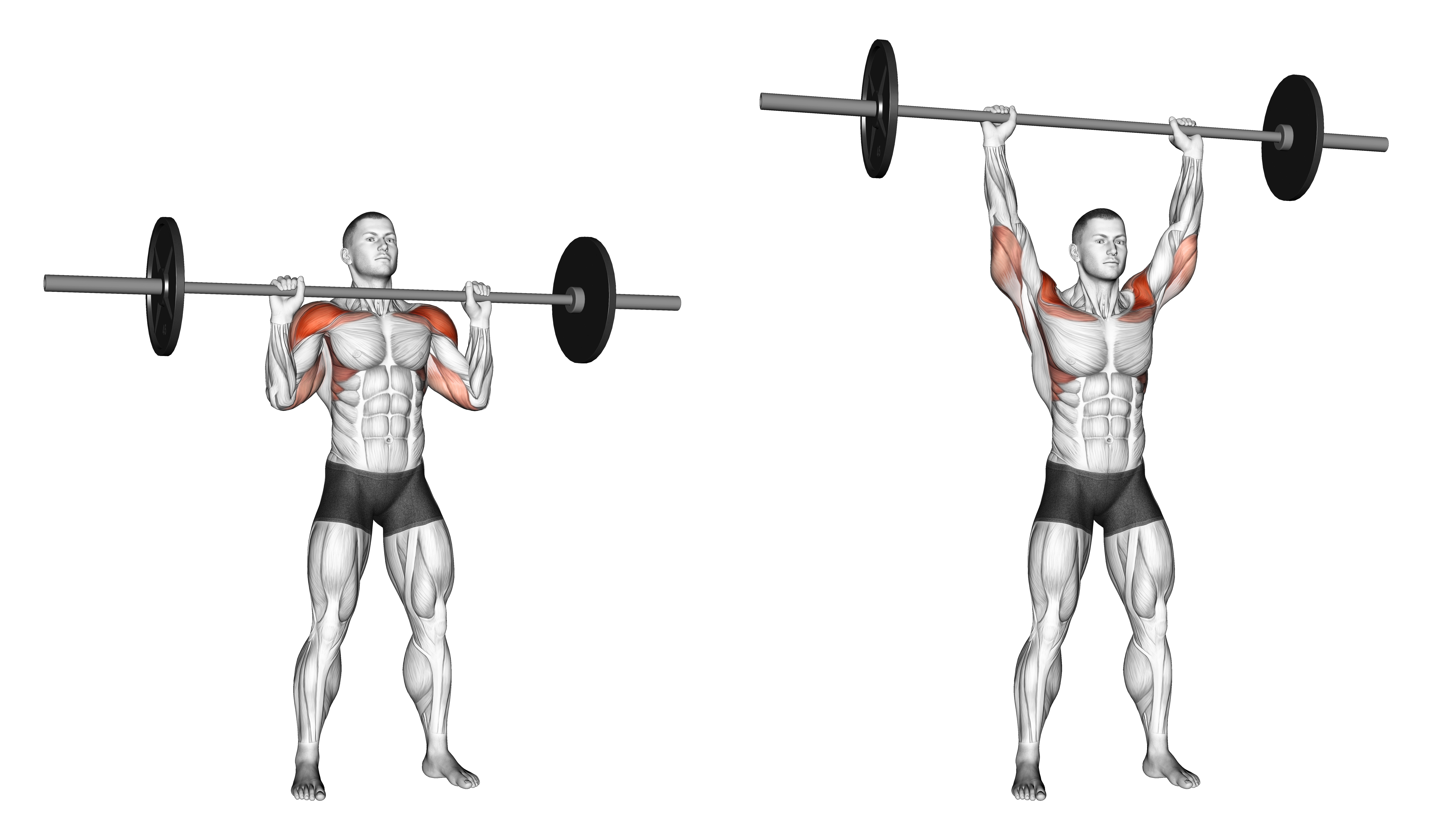 Barbell Standing Military Press (without Rack)