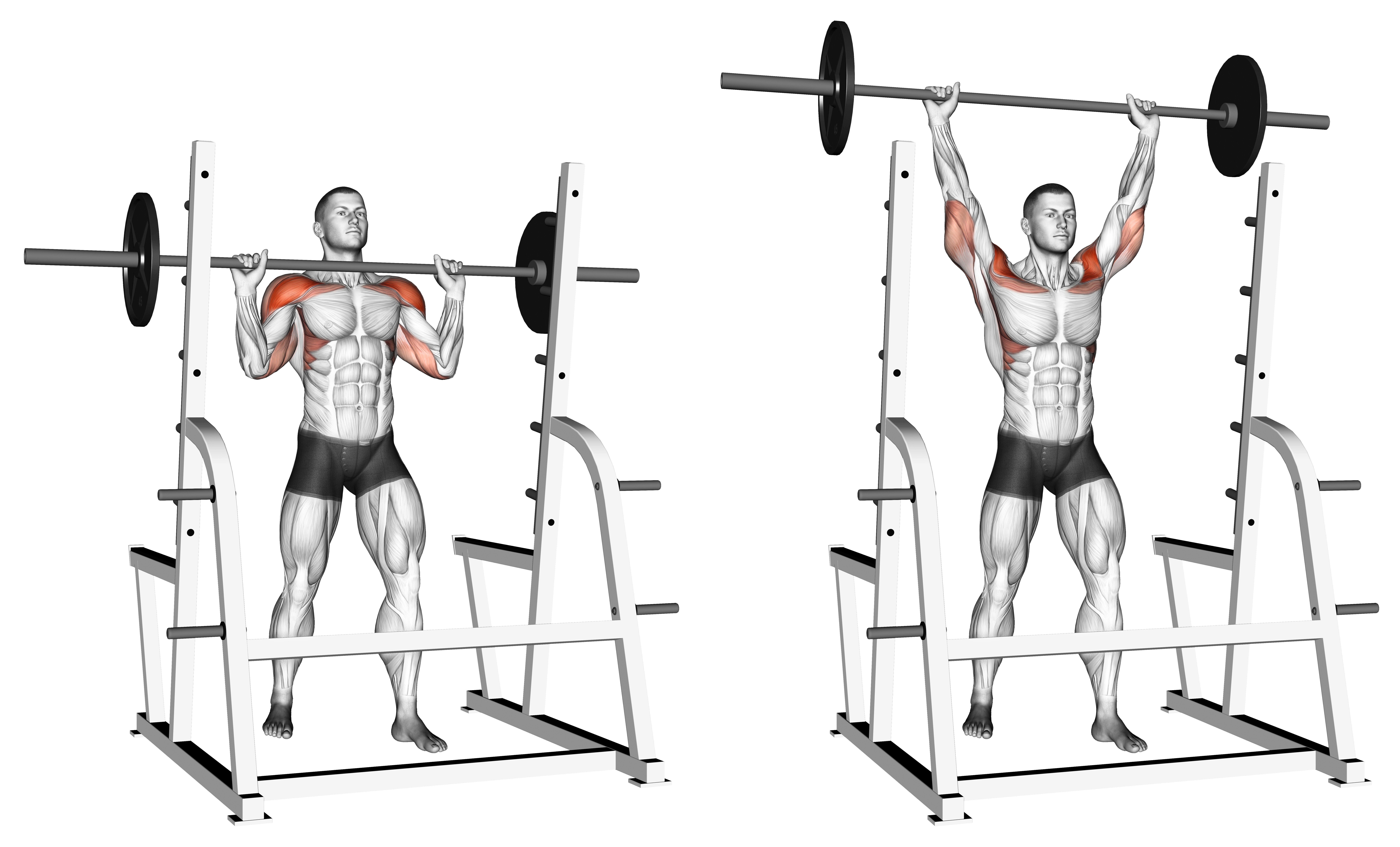 Barbell Standing Military Press