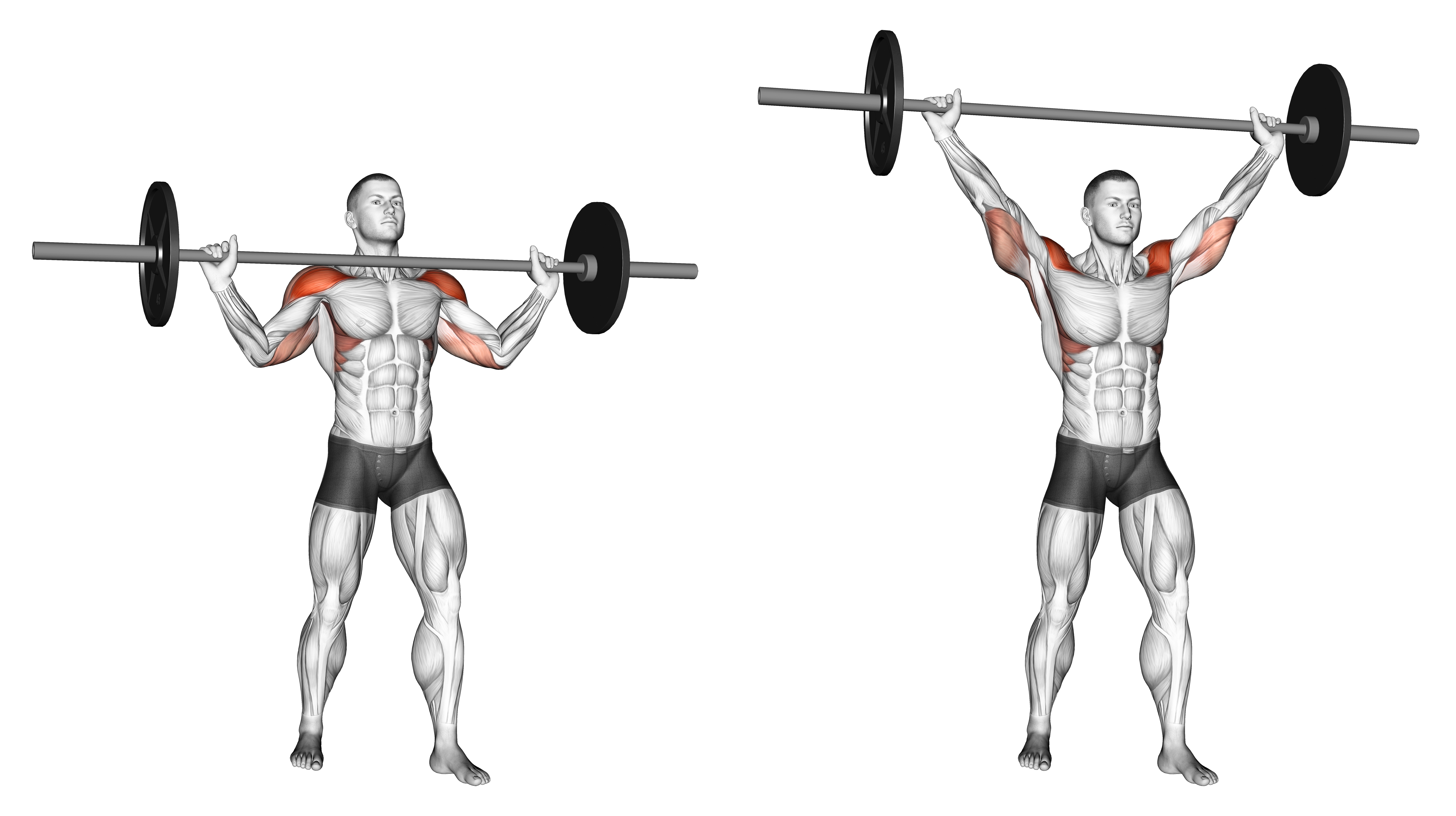 Barbell Standing Wide Military Press