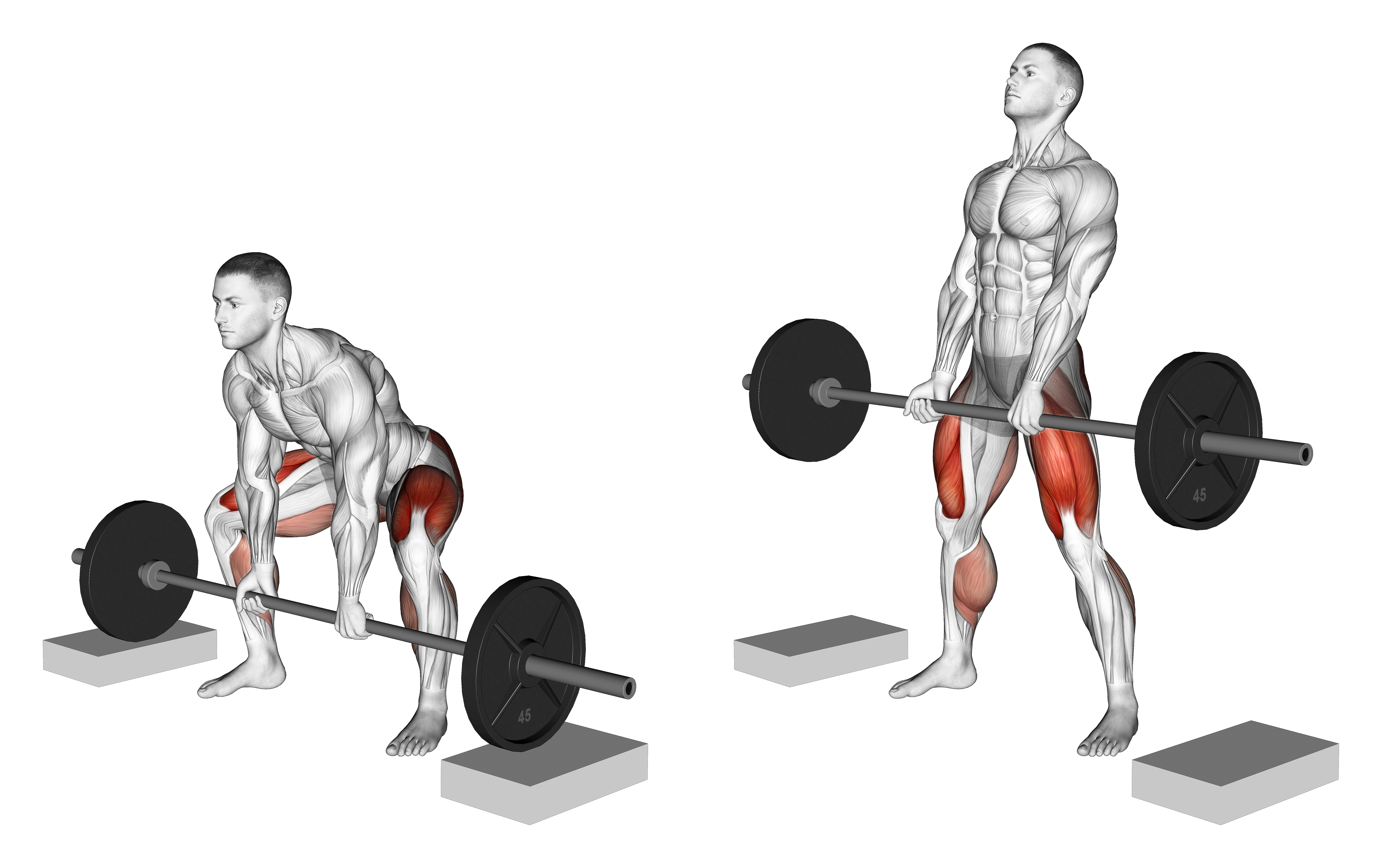 Barbell Sumo Deadlift From Blocks