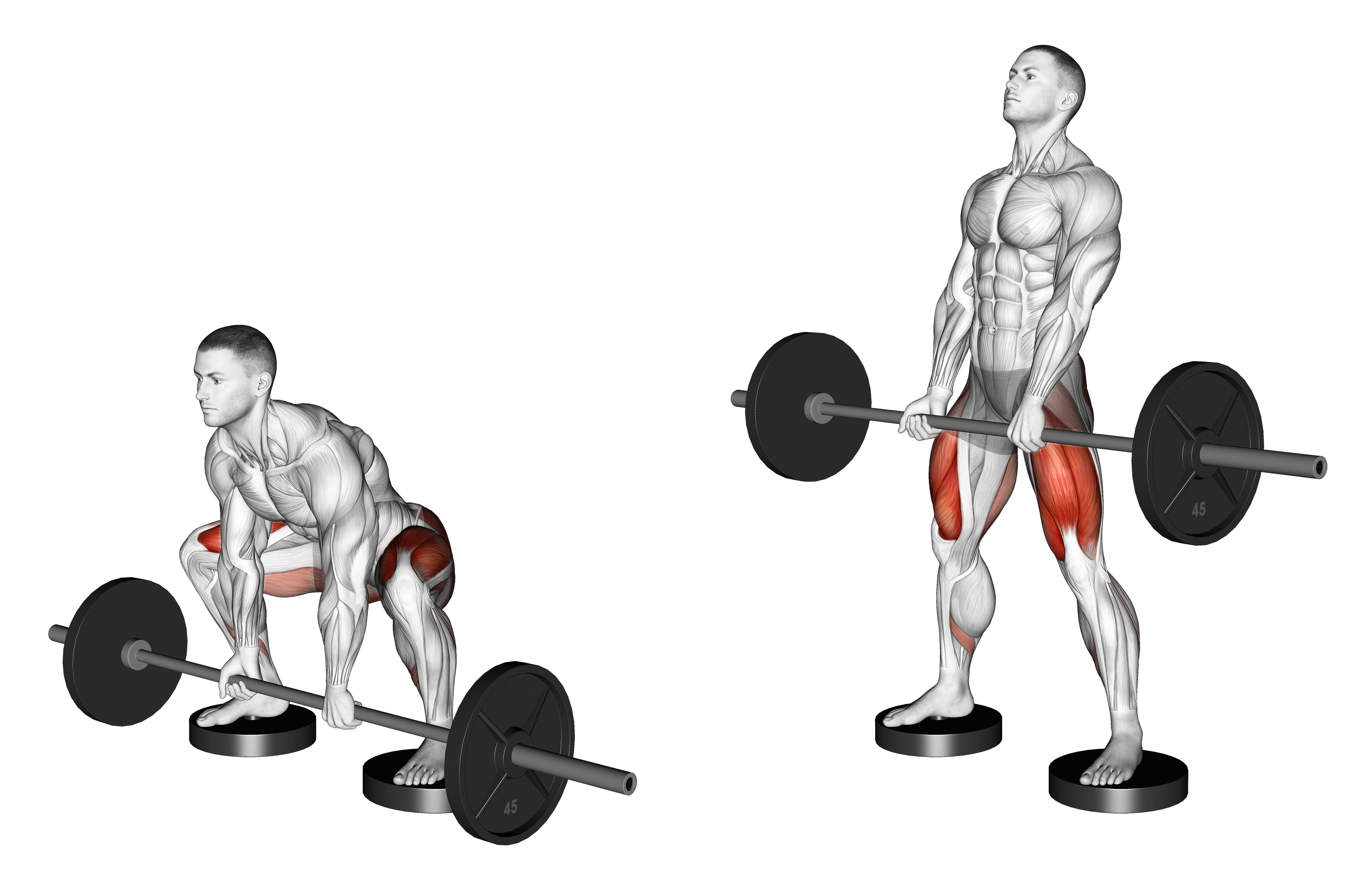 Barbell Sumo Deadlift From Deficit