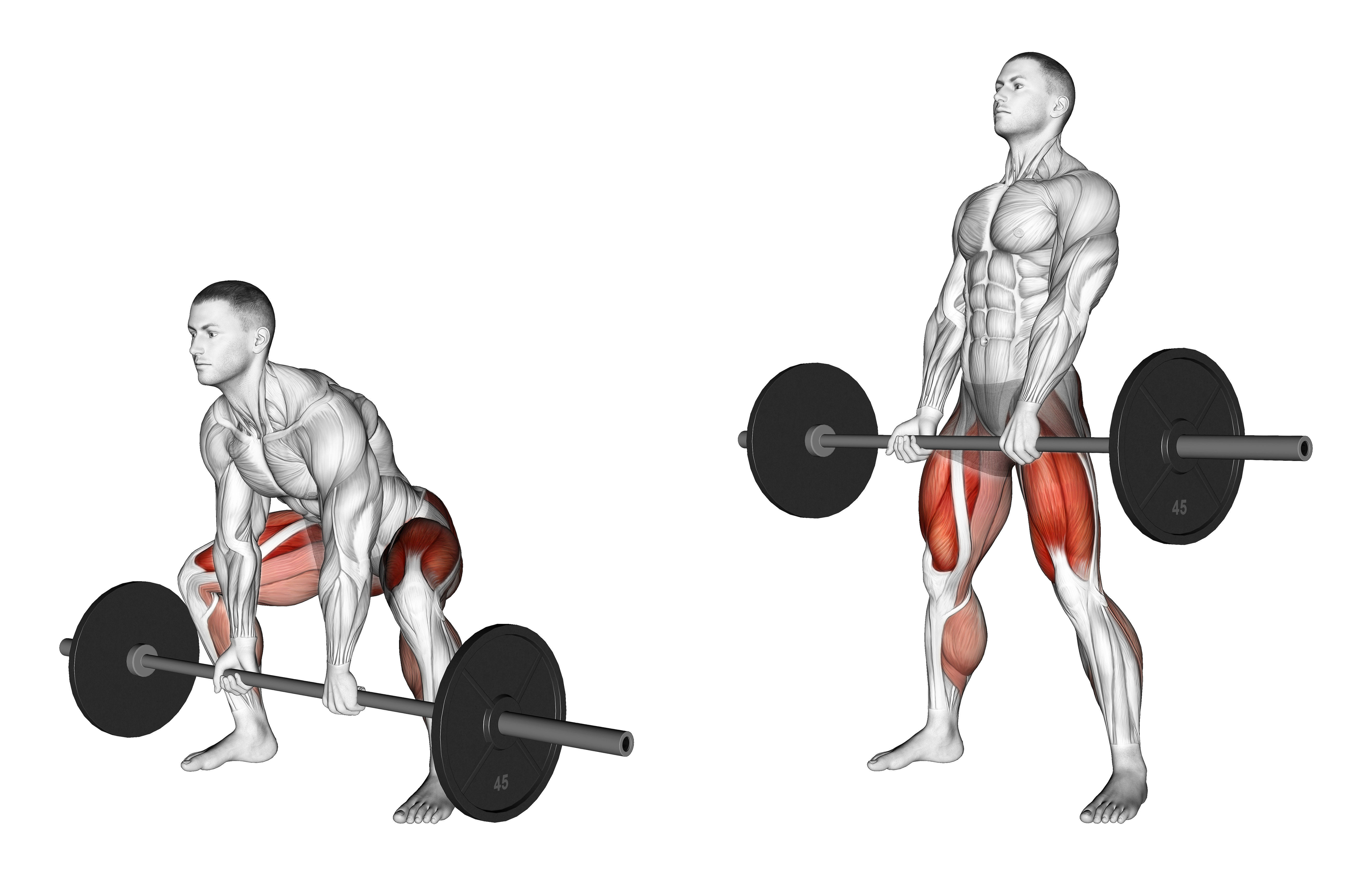 Barbell Sumo Deadlift